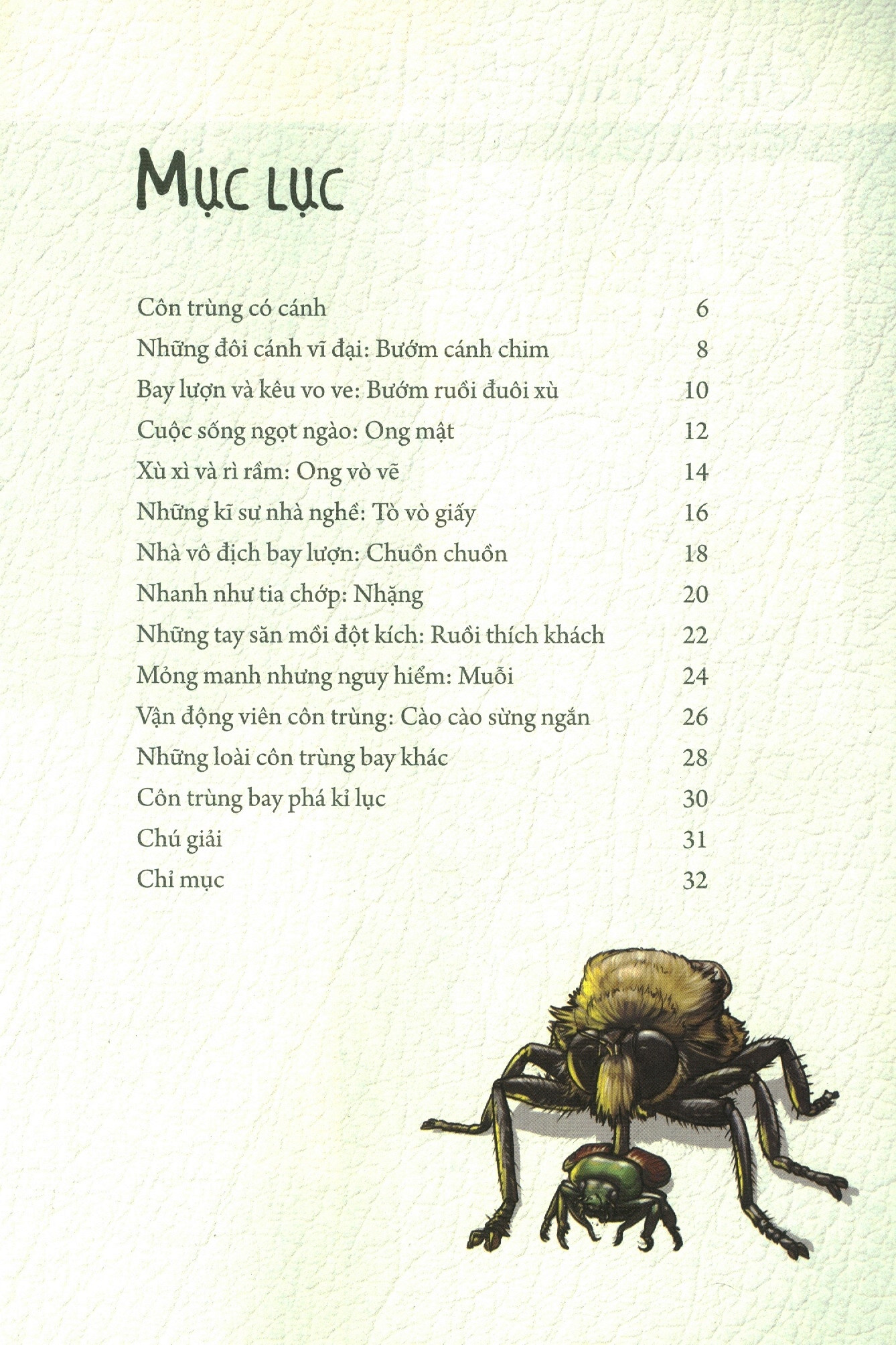 những loài bọ phá kỷ lục - côn trùng có cánh