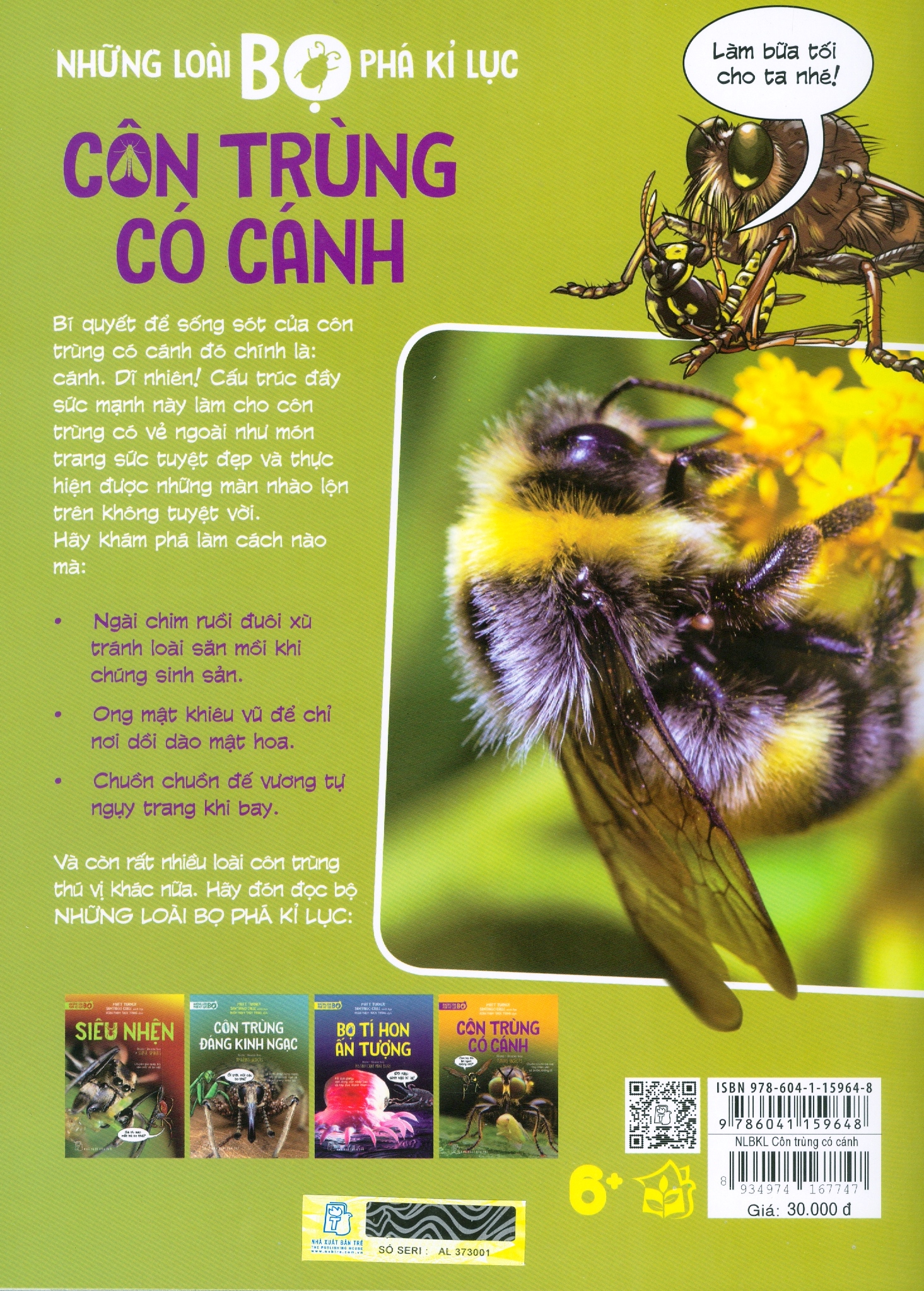 những loài bọ phá kỷ lục - côn trùng có cánh