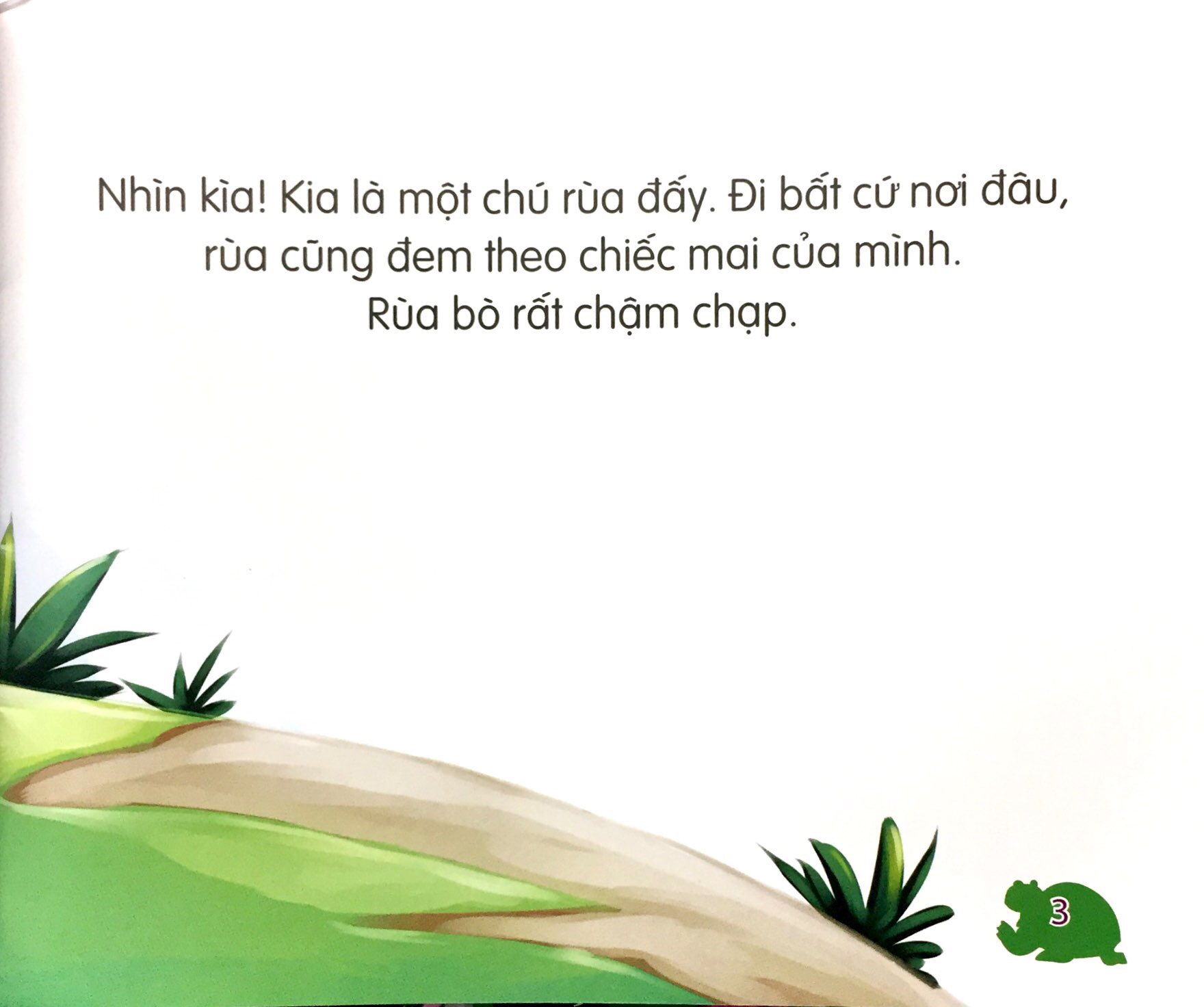 những loài vật đáng kinh ngạc - rùa chậm mà chắc