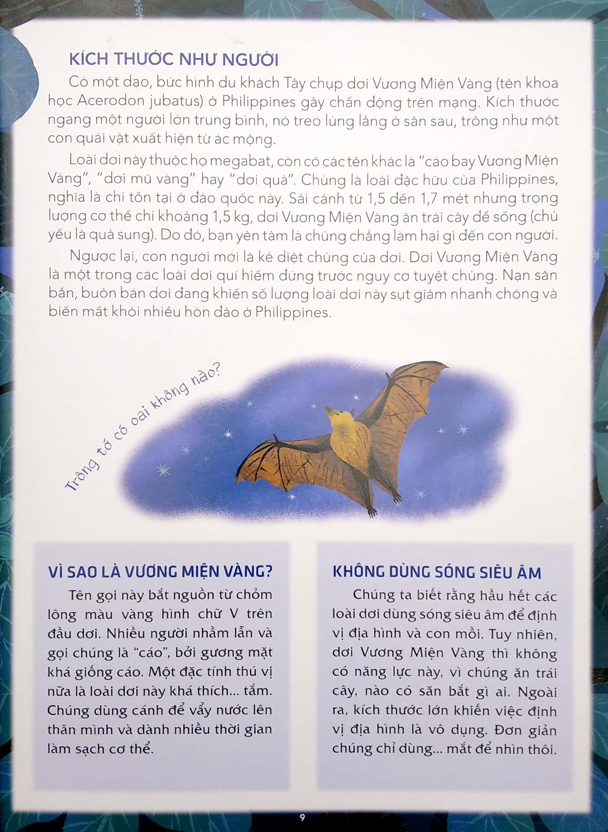 những loài vật kì lạ nhất quả đất