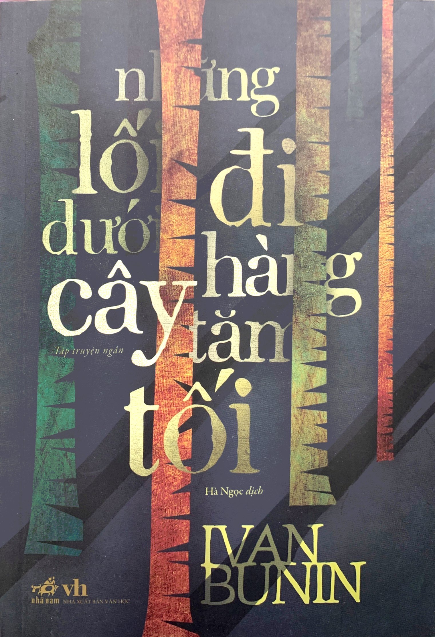 những lối đi dưới hàng cây tăm tối