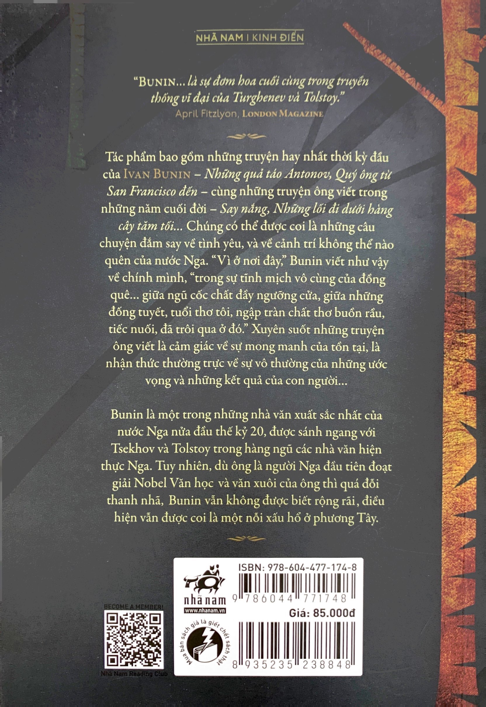 những lối đi dưới hàng cây tăm tối