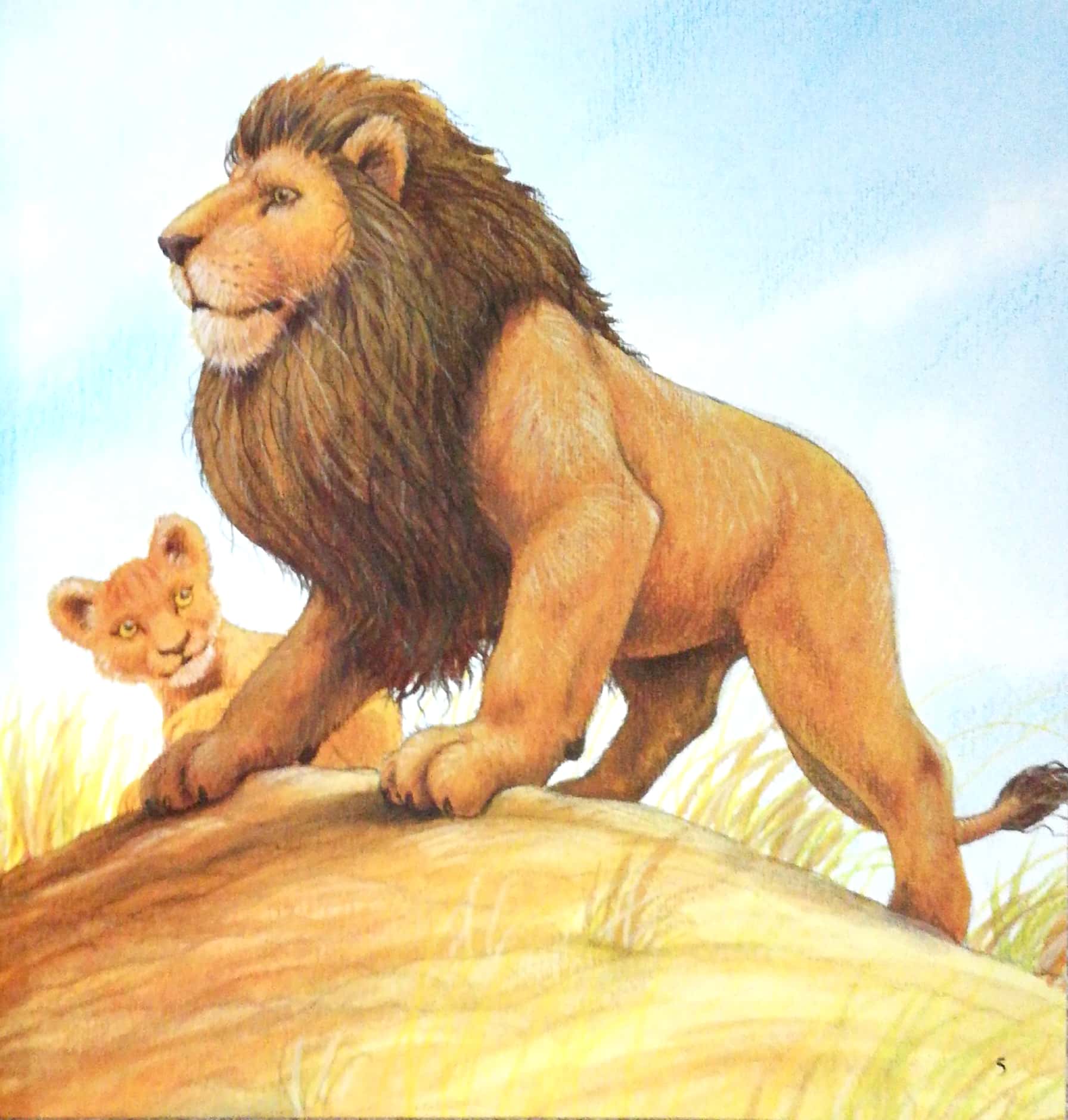 những lời yêu thương của con trẻ dành tặng các bố - vì sao tớ yêu bố (tái bản 2024)