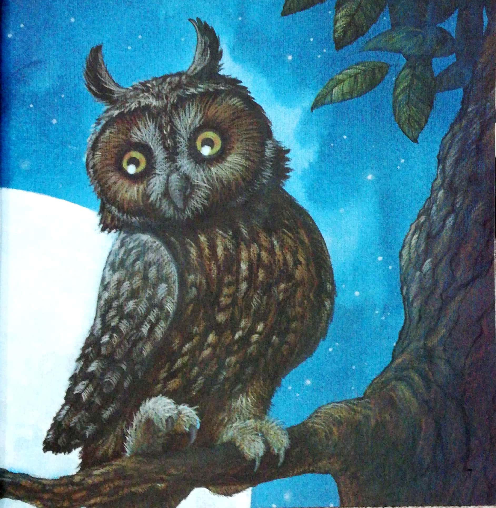 những lời yêu thương của con trẻ dành tặng các bố - vì sao tớ yêu bố (tái bản 2024)