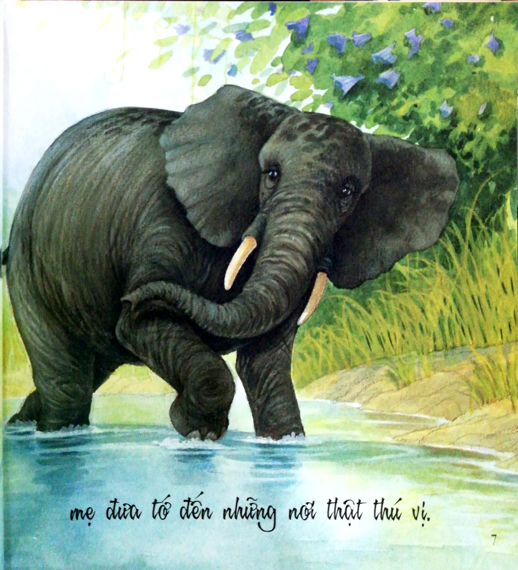 những lời yêu thương của con trẻ dành tặng các mẹ - vì sao tớ yêu mẹ (tái bản 2024)