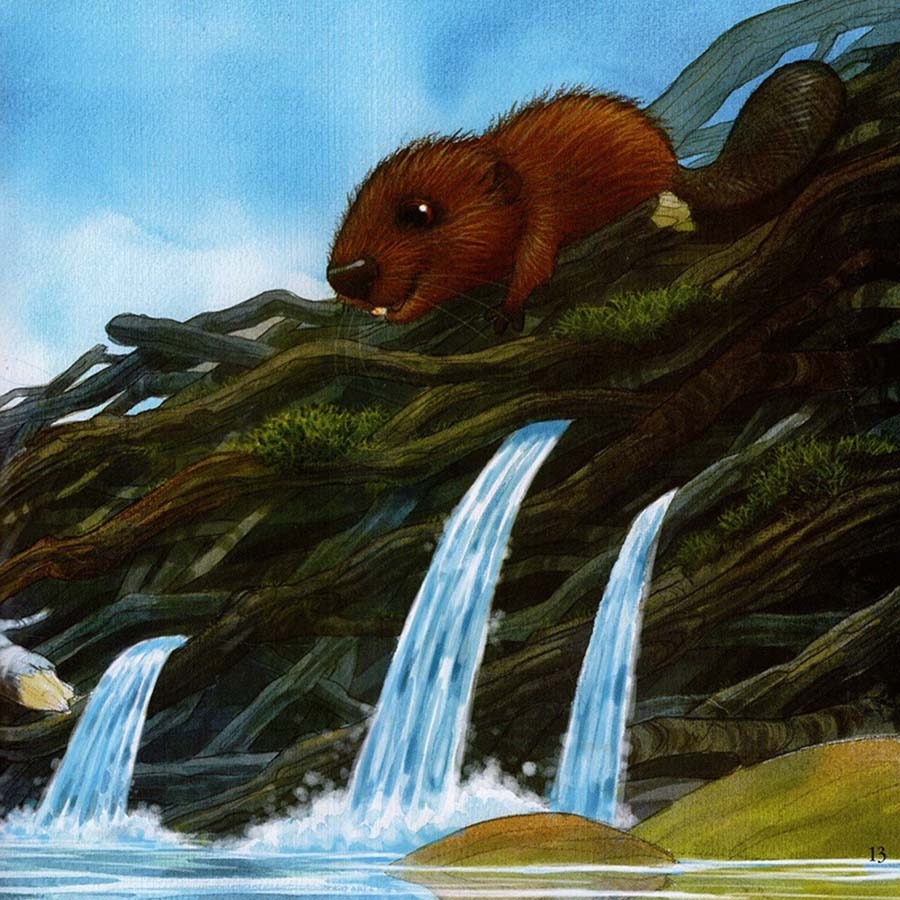 những lời yêu thương của con trẻ dành tặng các ông - vì sao tớ yêu ông (tái bản 2024)