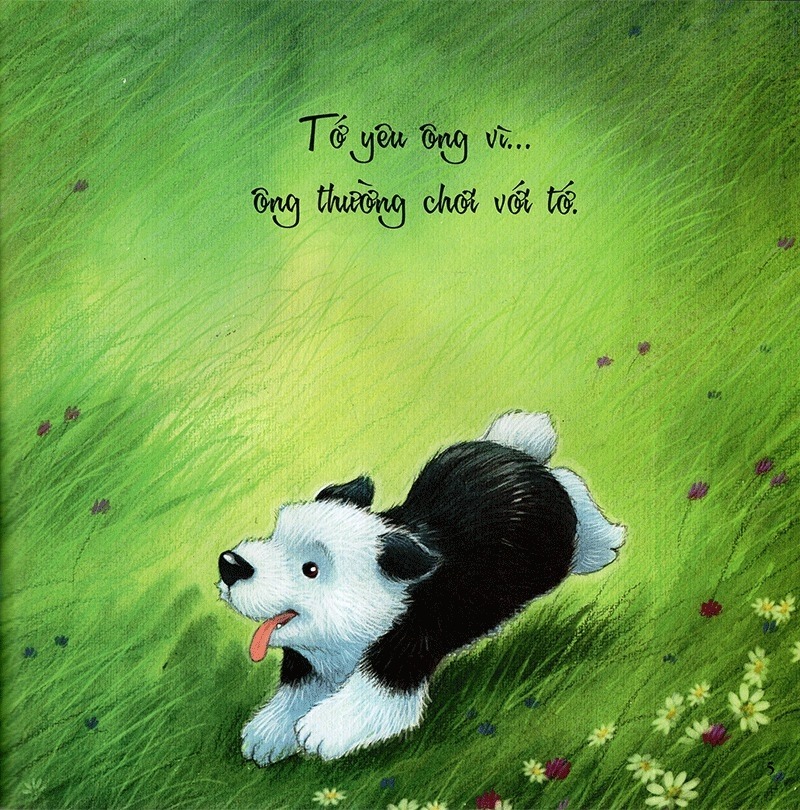 những lời yêu thương của con trẻ dành tặng các ông - vì sao tớ yêu ông (tái bản 2024)