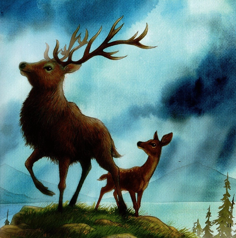 những lời yêu thương của con trẻ dành tặng các ông - vì sao tớ yêu ông (tái bản 2024)