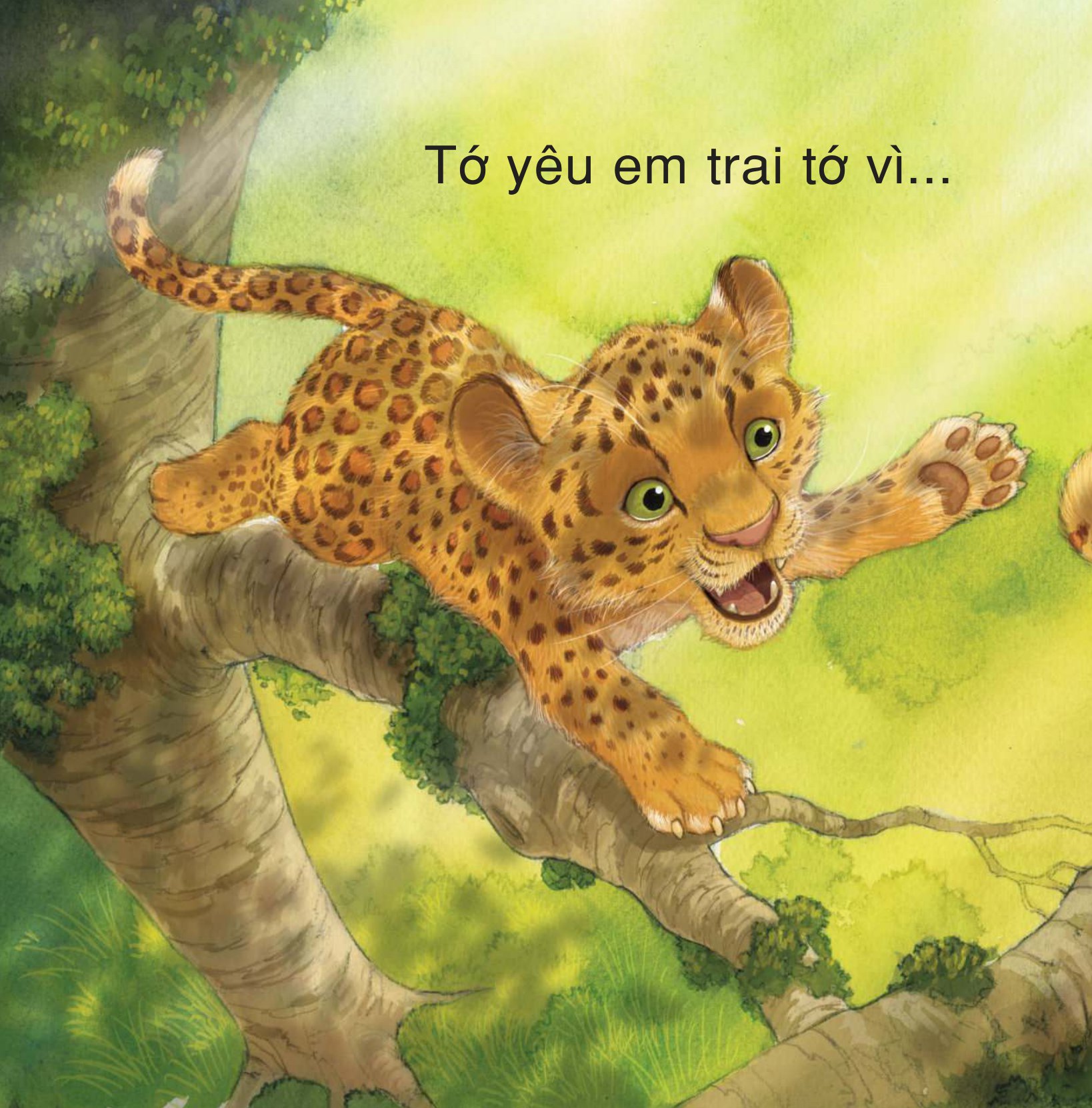 những lời yêu thương dành tặng anh và em trai - vì sao tớ yêu anh và em trai