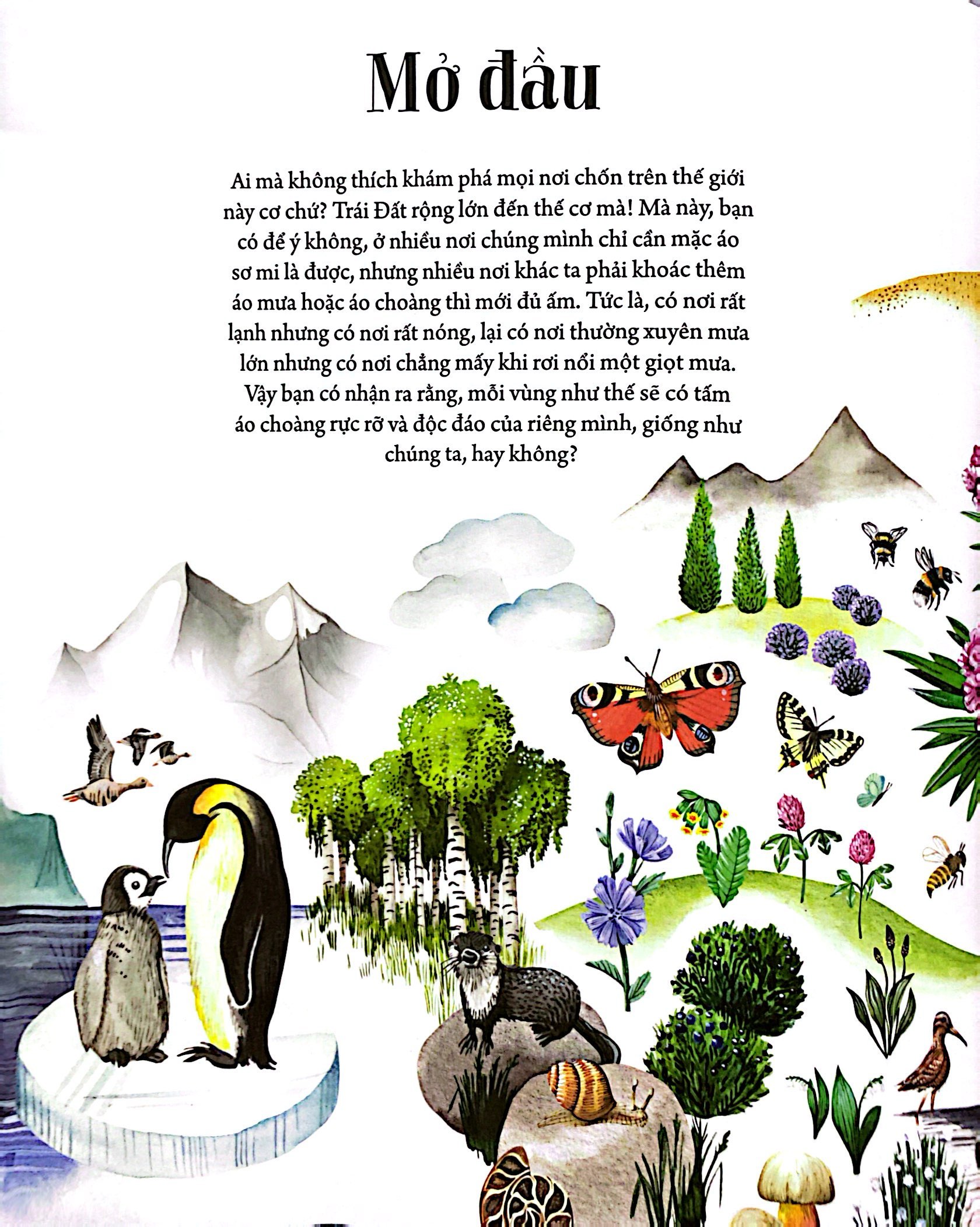 những mảnh ghép đa sắc của các hệ sinh thái