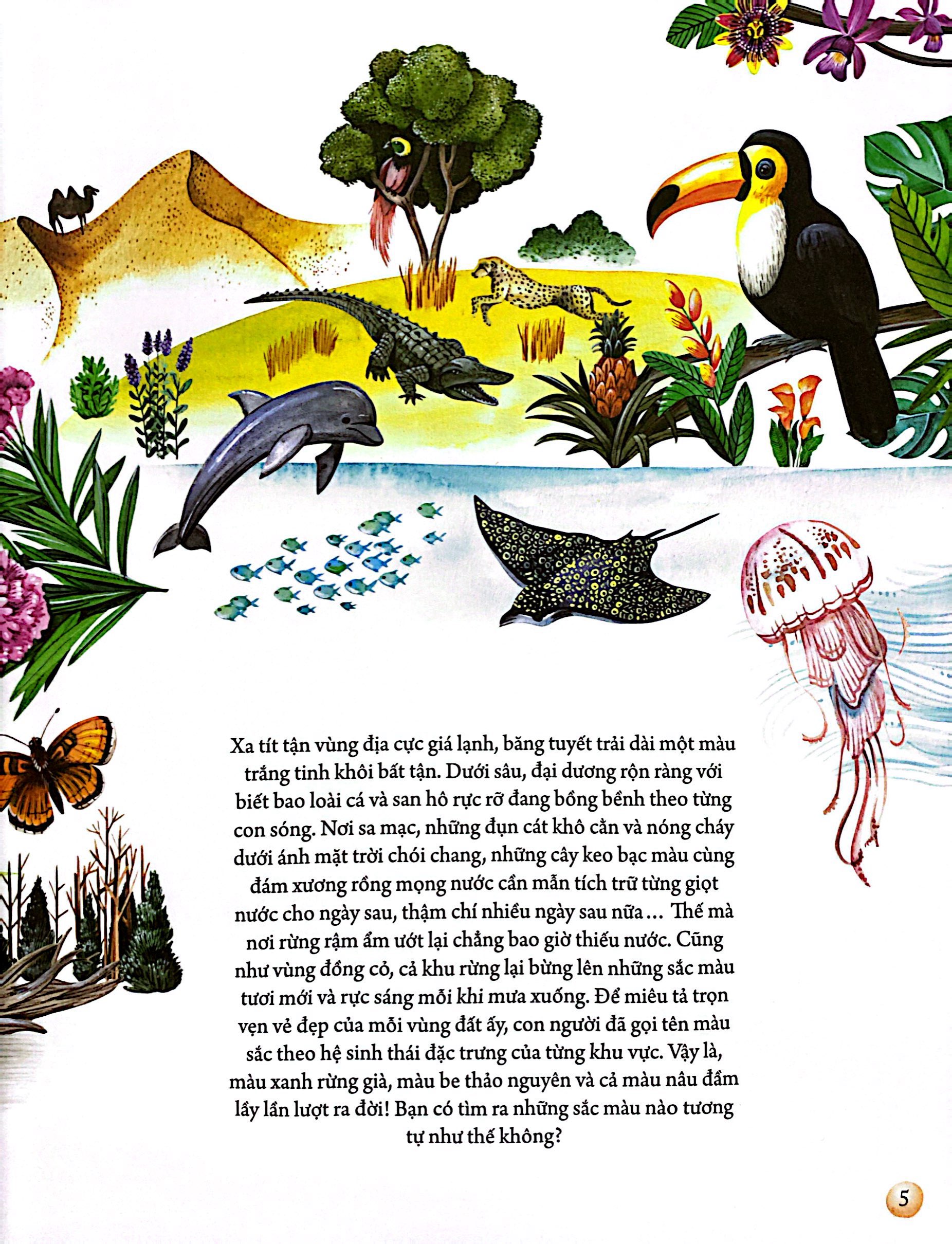 những mảnh ghép đa sắc của các hệ sinh thái