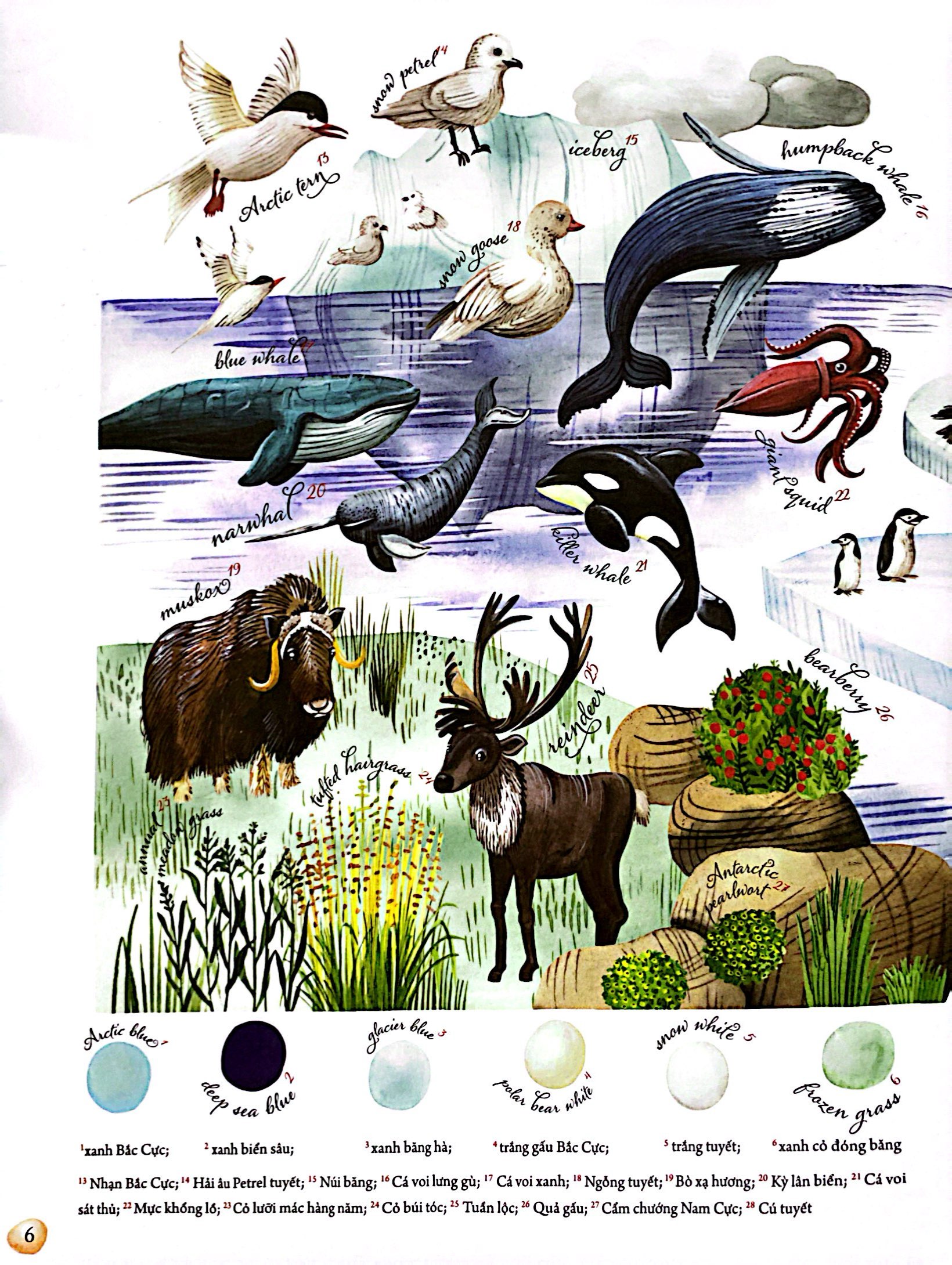 những mảnh ghép đa sắc của các hệ sinh thái