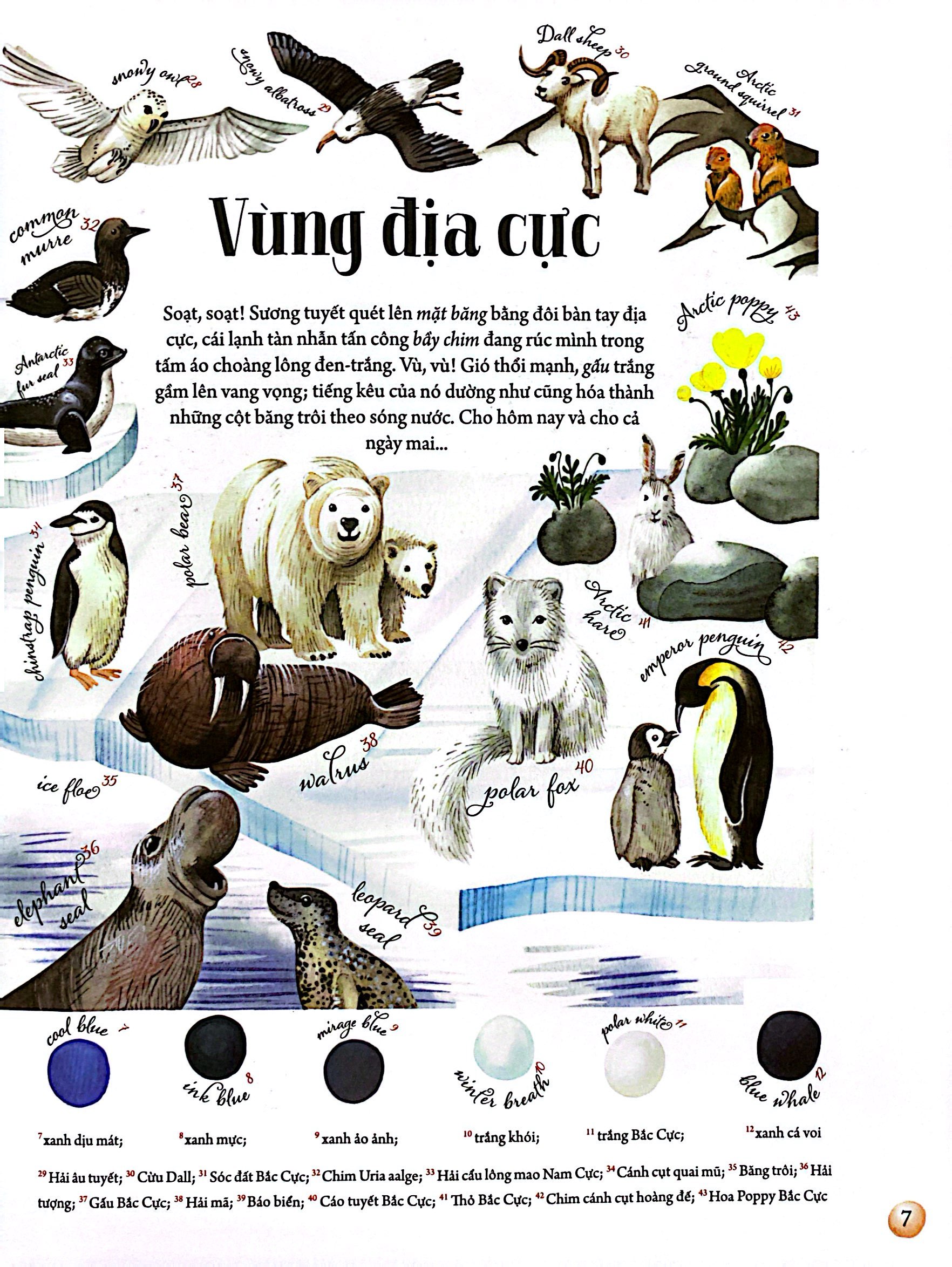 những mảnh ghép đa sắc của các hệ sinh thái