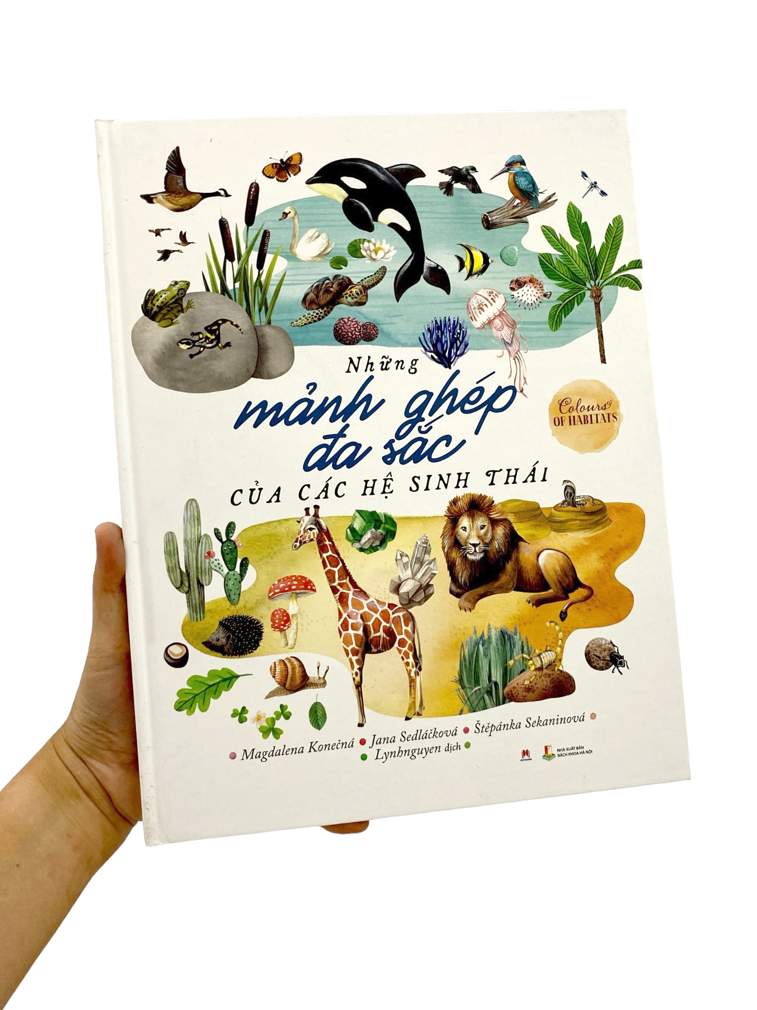 những mảnh ghép đa sắc của các hệ sinh thái