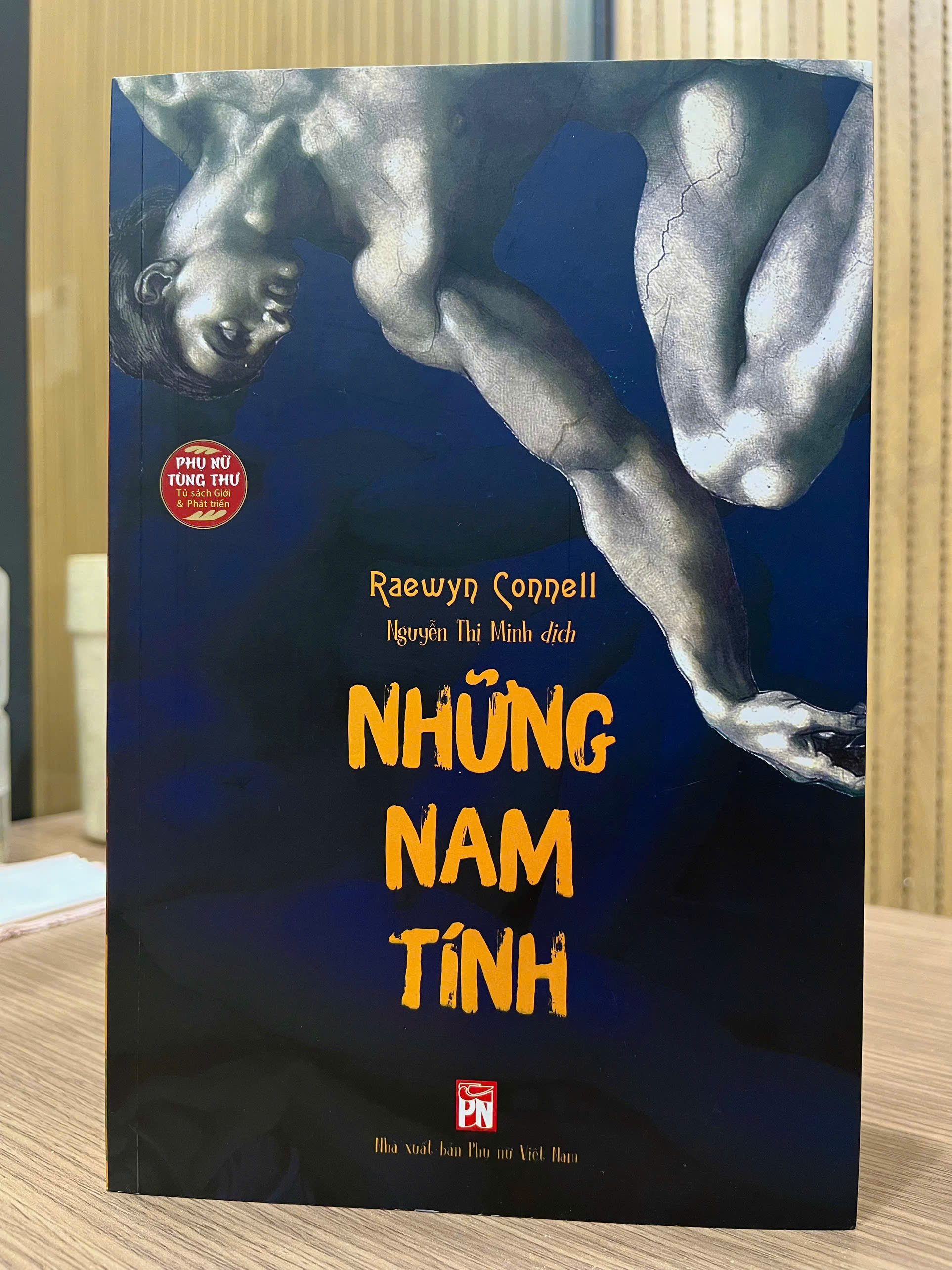 Những Nam Tính - Một Công Trình Kinh Điển Về Nam Tính, Quyền Lực Và Xã Hội