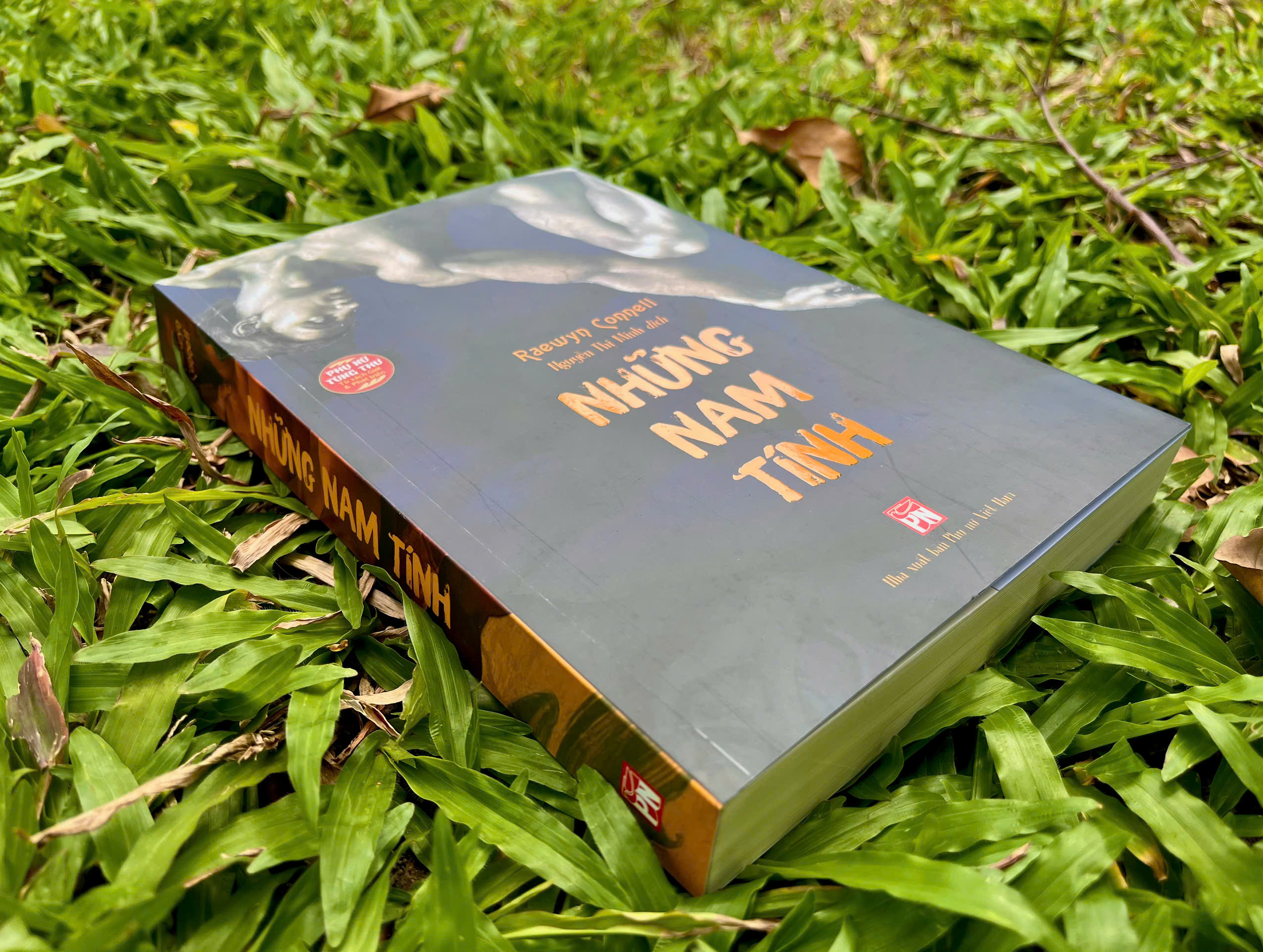 Những Nam Tính - Một Công Trình Kinh Điển Về Nam Tính, Quyền Lực Và Xã Hội