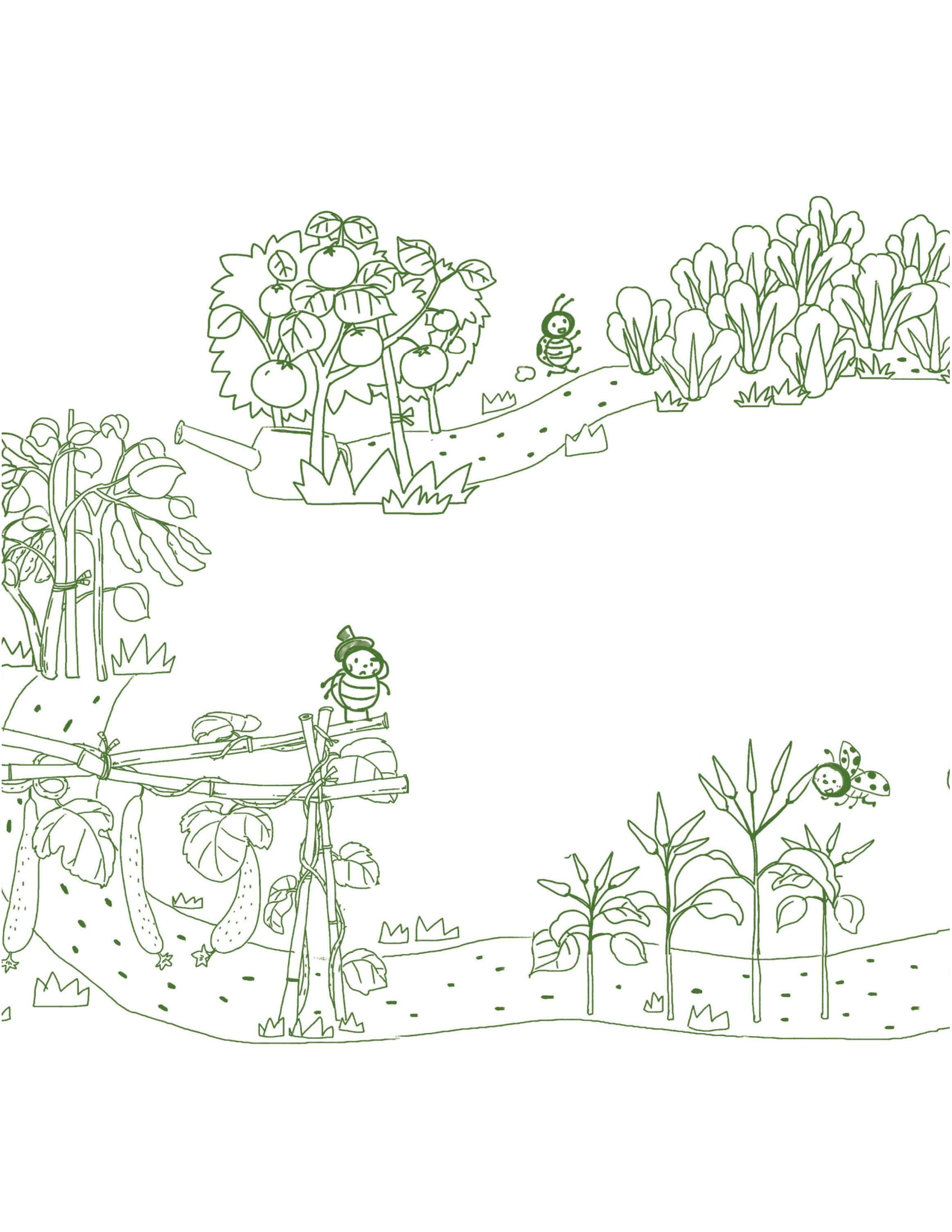 những ngón tay bận rộn - trong vườn rau