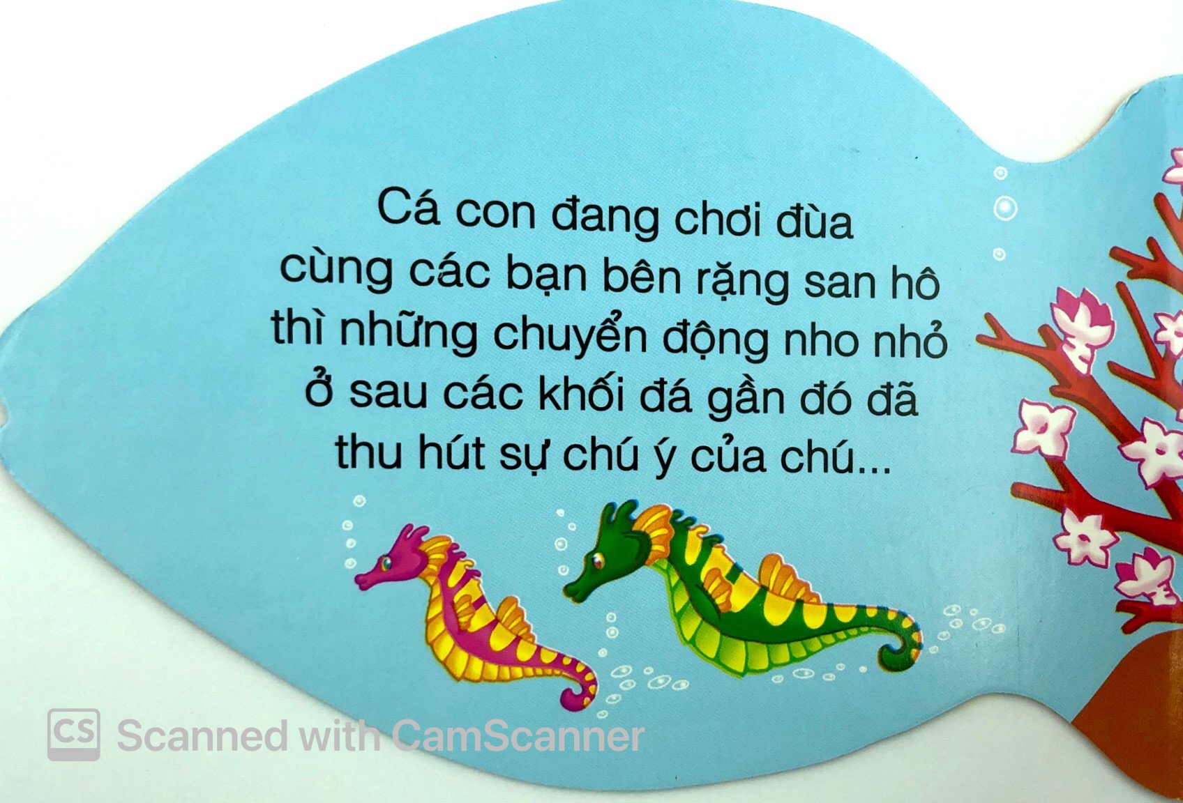 những người bạn tốt - cá con thân thiện