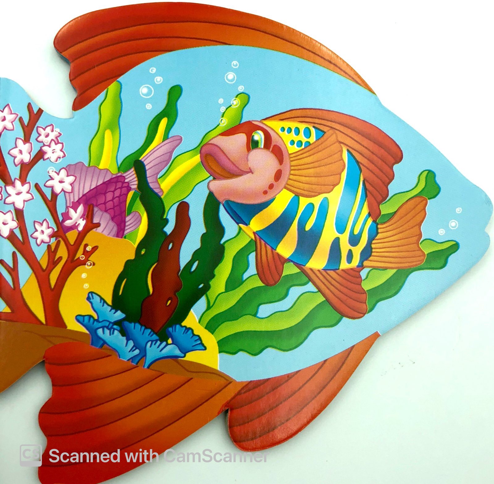 những người bạn tốt - cá con thân thiện