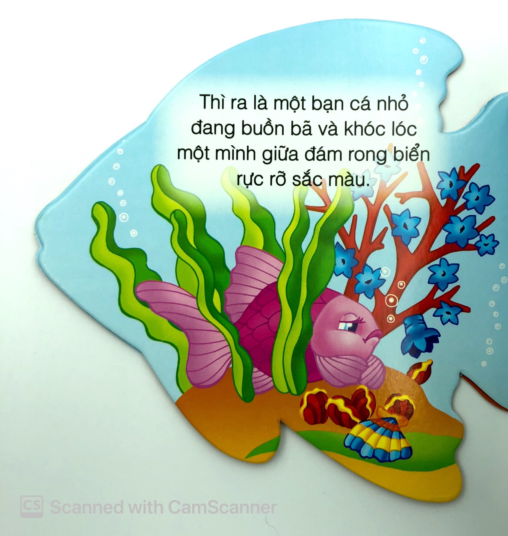 những người bạn tốt - cá con thân thiện