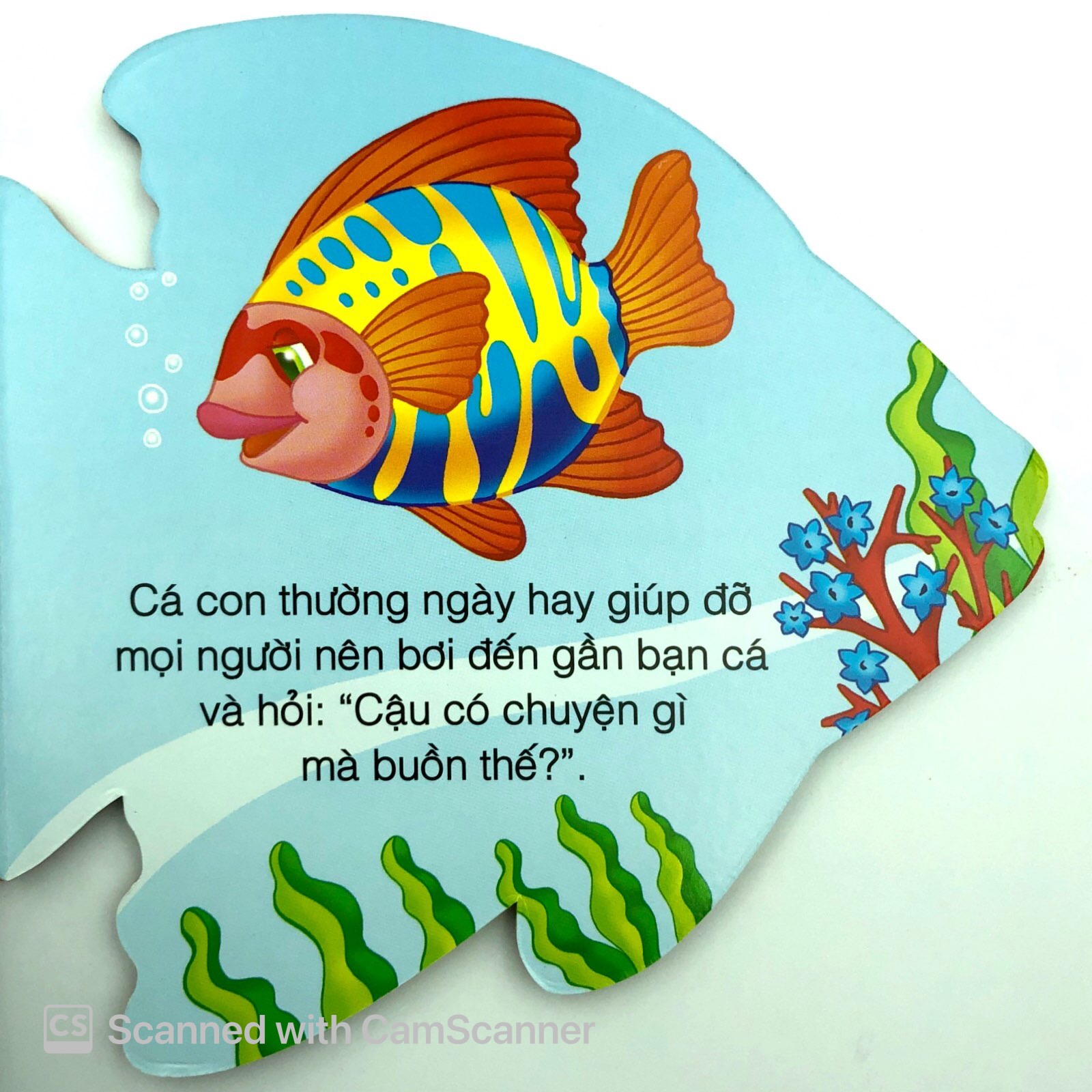 những người bạn tốt - cá con thân thiện