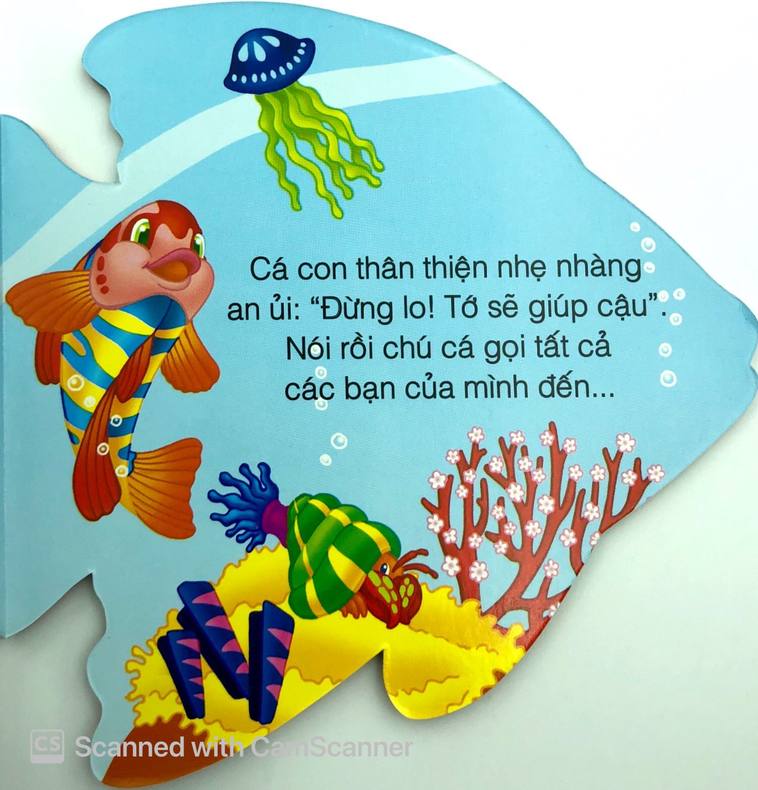 những người bạn tốt - cá con thân thiện