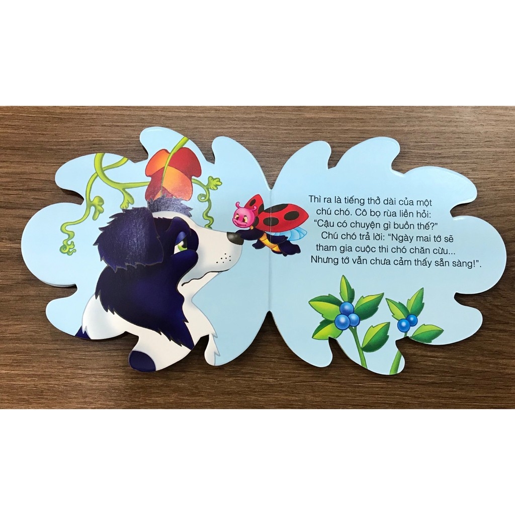 những người bạn tốt - cô bọ rùa xinh xắn