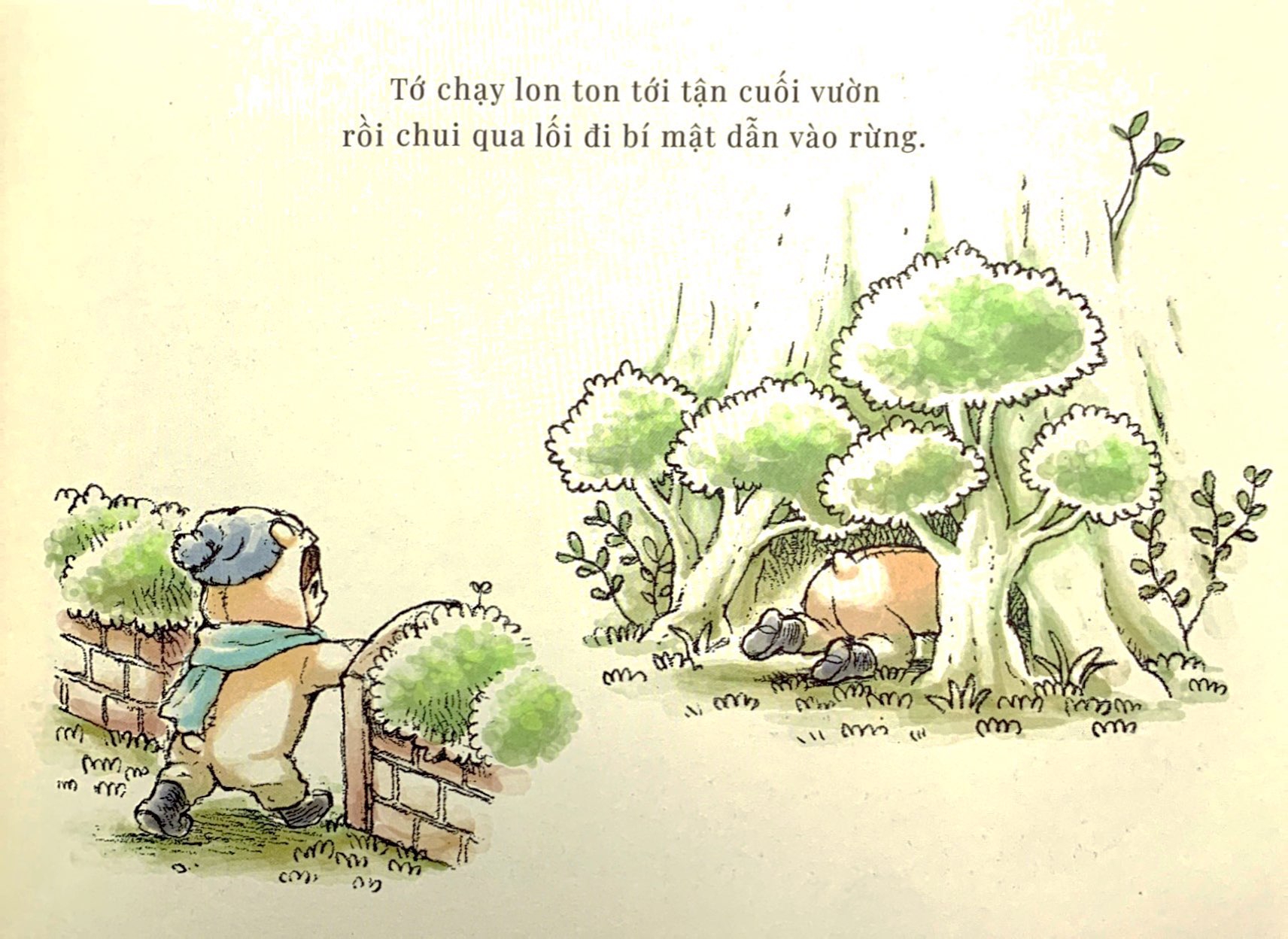 những người bạn tròn xoe - quả của trời