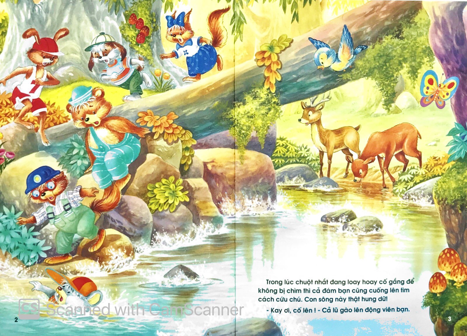 những người bạn trong rừng xanh