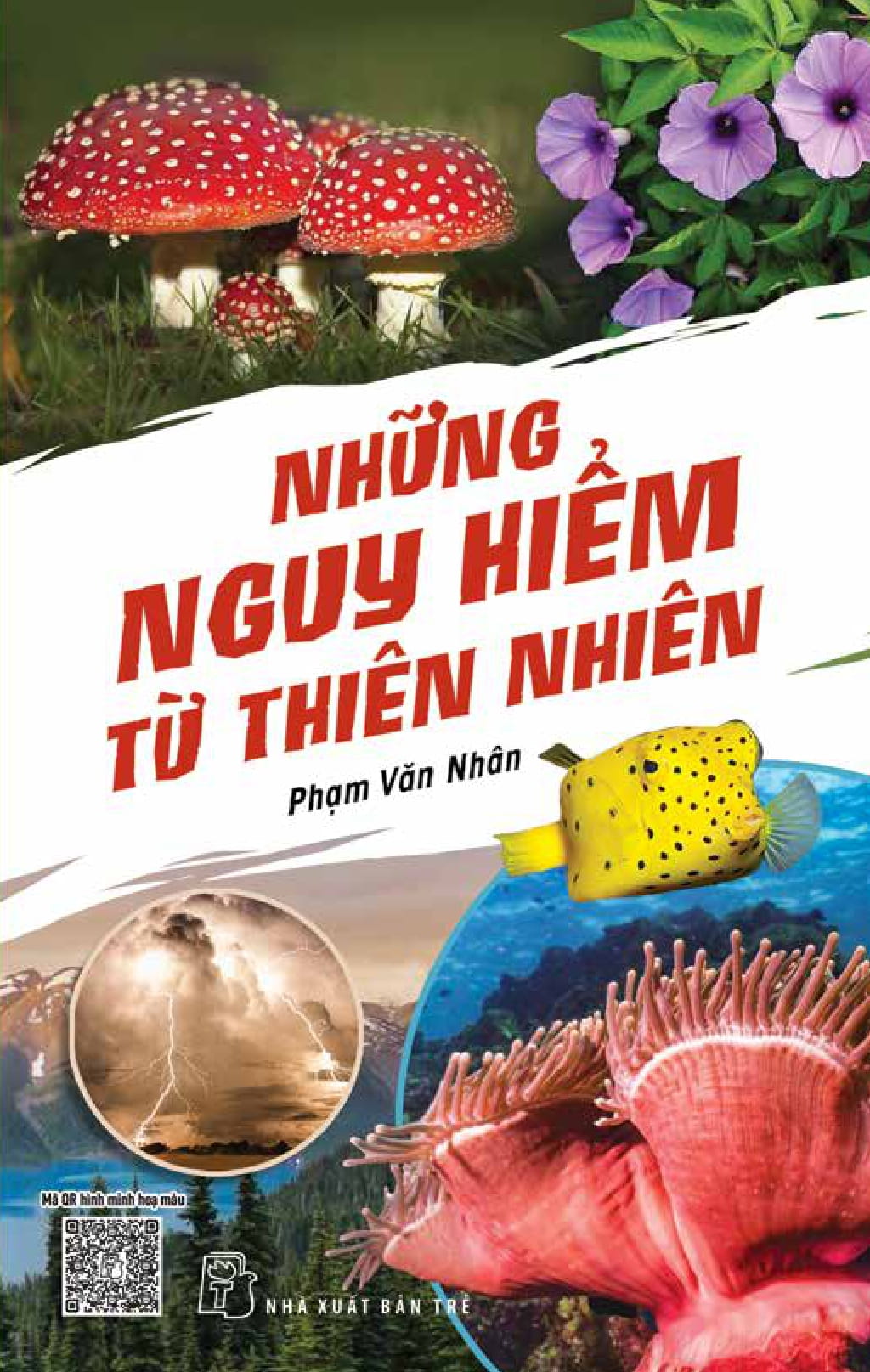 những nguy hiểm từ thiên nhiên