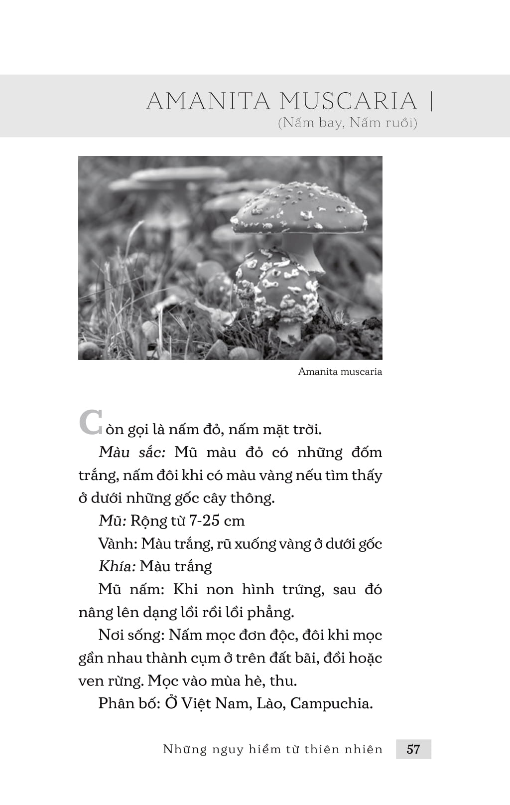 những nguy hiểm từ thiên nhiên