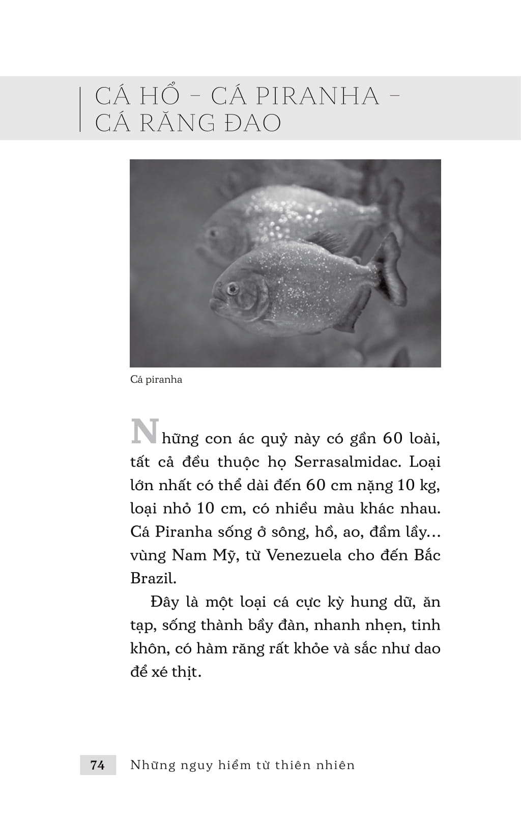 những nguy hiểm từ thiên nhiên