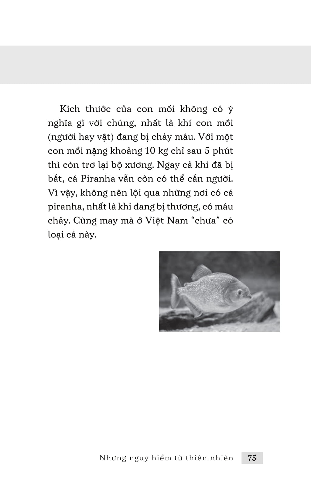 những nguy hiểm từ thiên nhiên