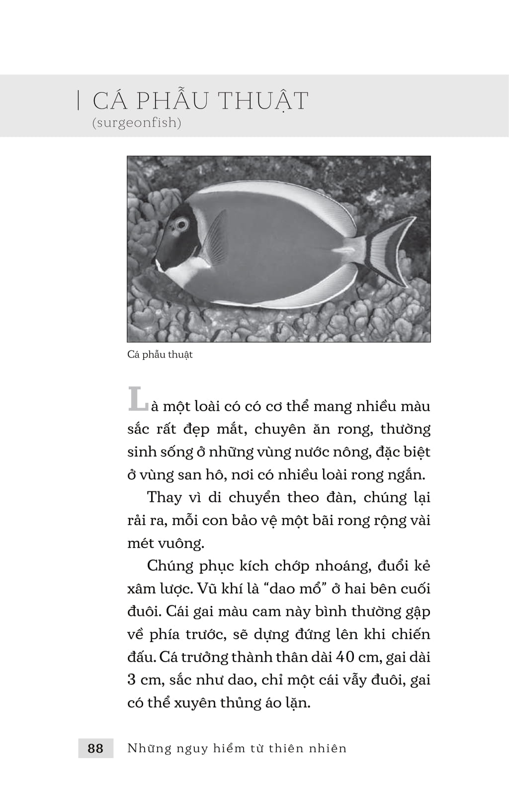 những nguy hiểm từ thiên nhiên