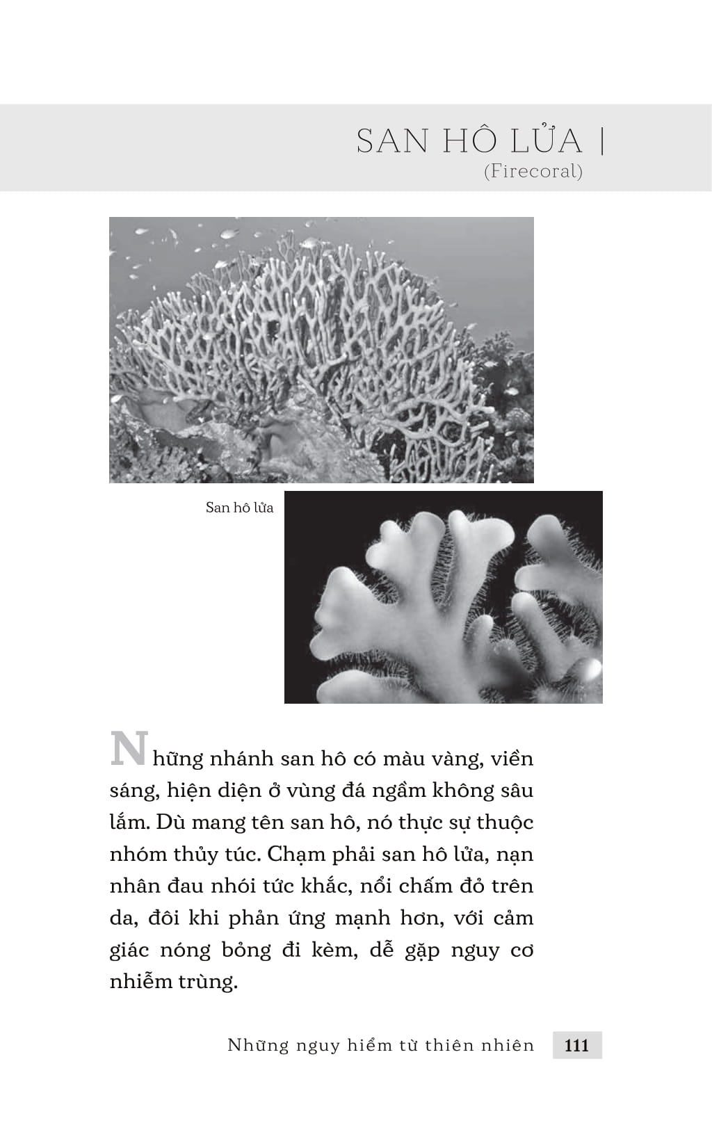 những nguy hiểm từ thiên nhiên