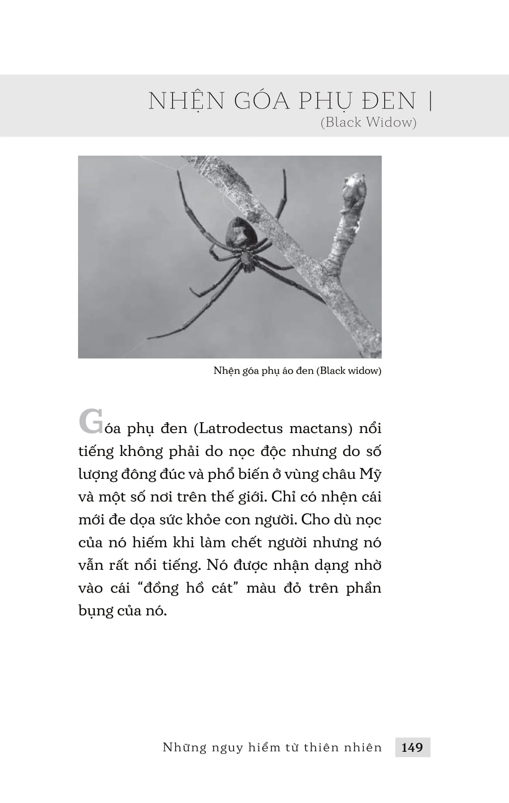 những nguy hiểm từ thiên nhiên