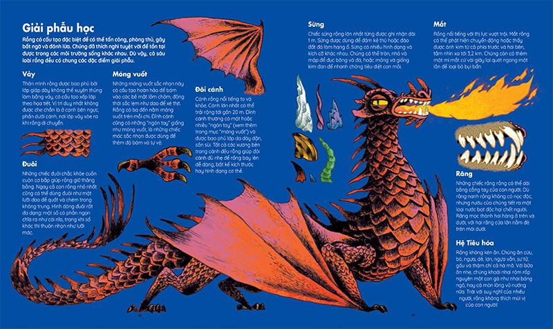 những sinh vật huyền thoại - thế giới bí ẩn của loài rồng