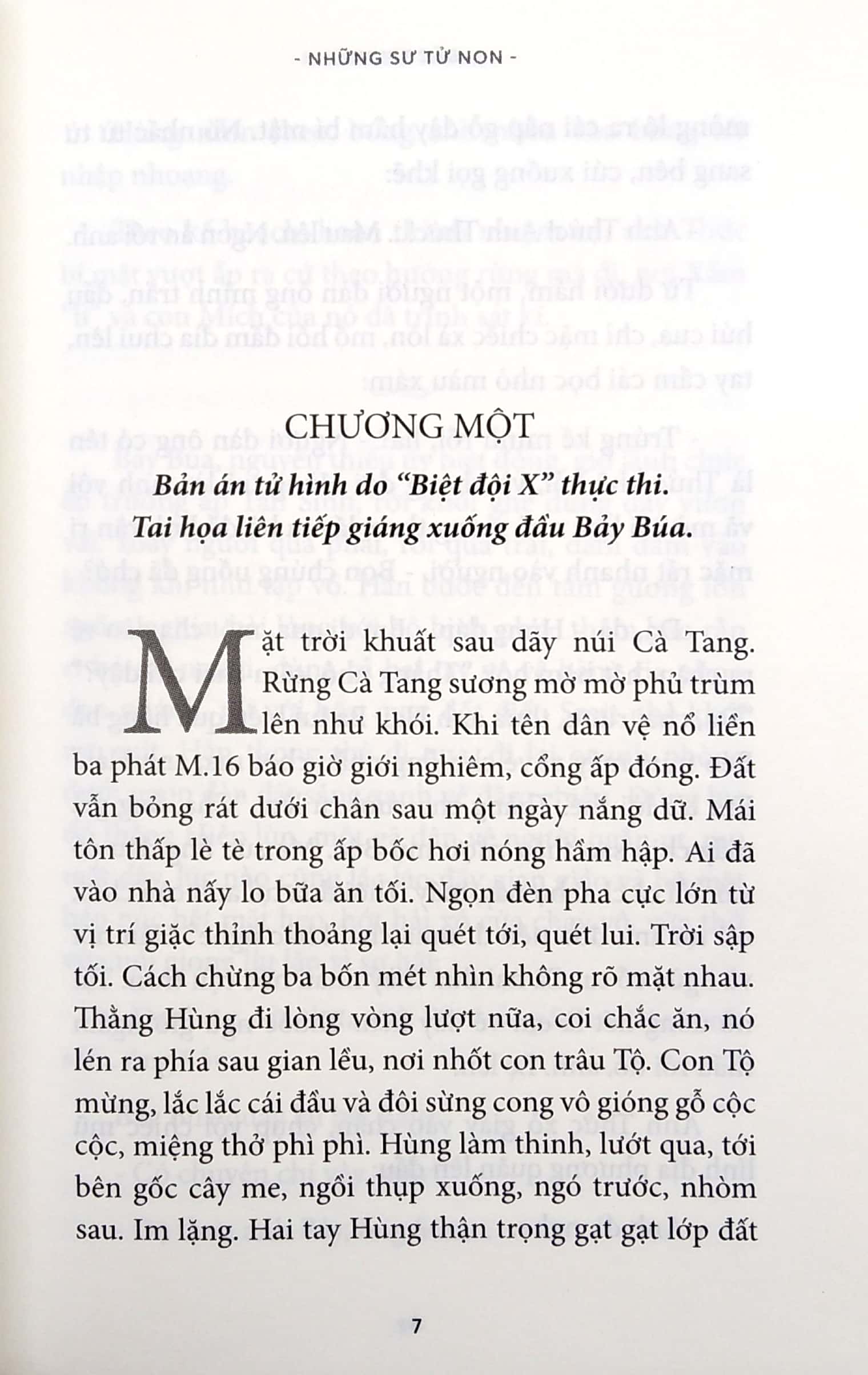 những sư tử non