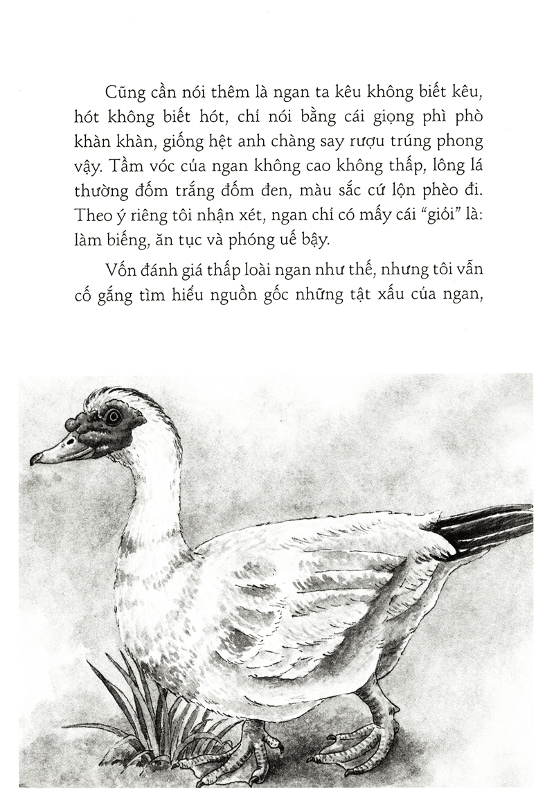 những truyện hay viết cho thiếu nhi - vũ tú nam (tái bản 2020)