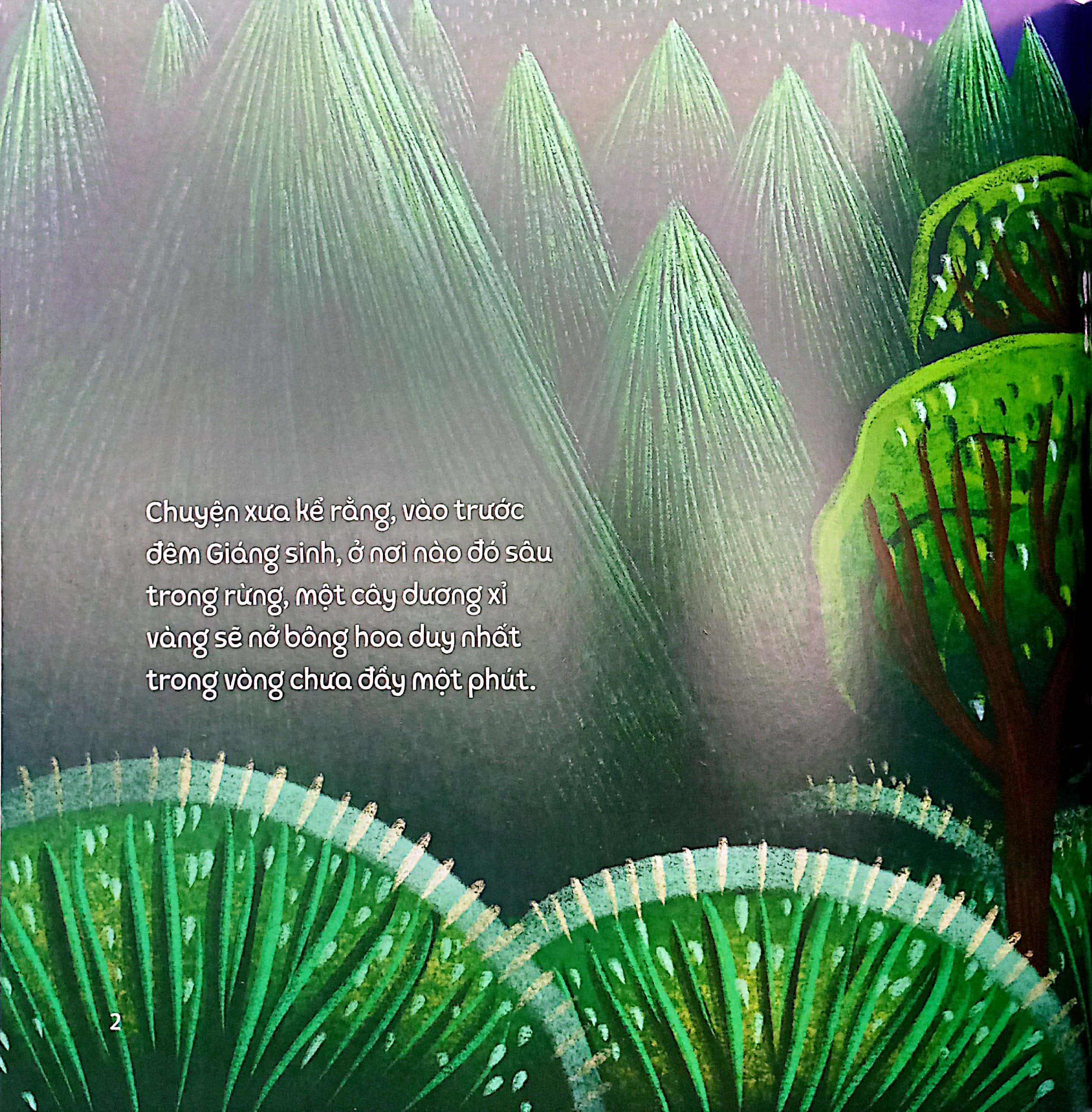 những truyền thuyết không thể không biết của ba lan - hoa dương xỉ thần kì