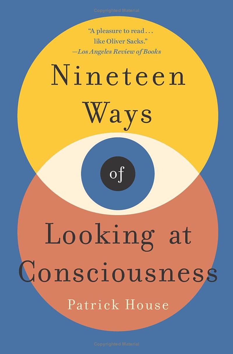 nineteen ways of looking at consciousness