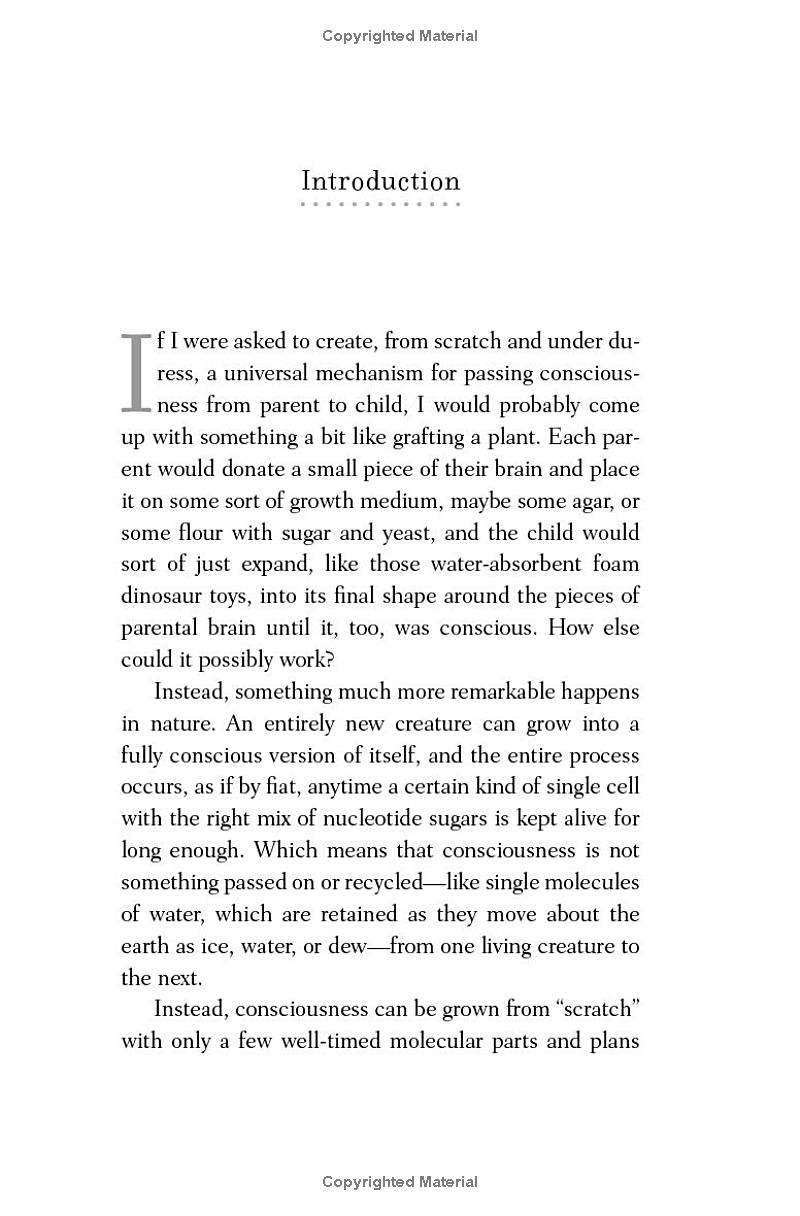 nineteen ways of looking at consciousness