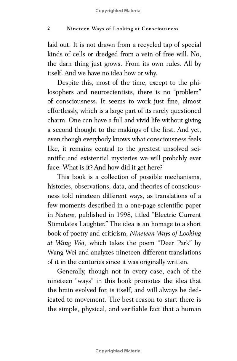 nineteen ways of looking at consciousness