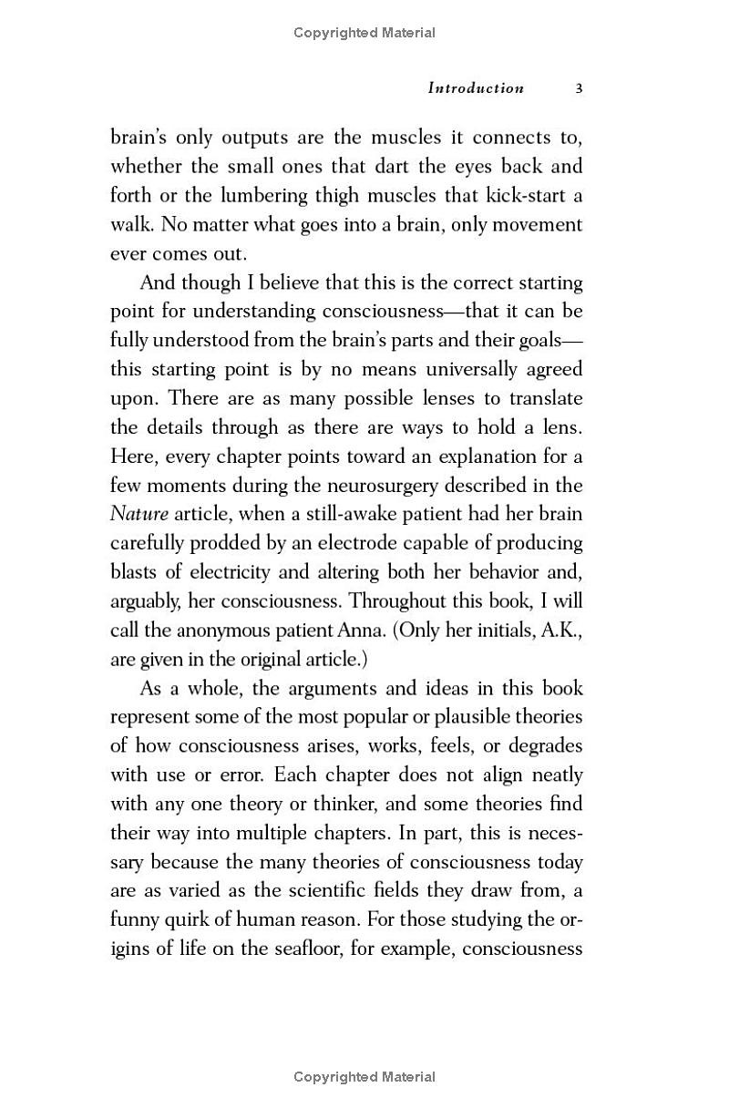 nineteen ways of looking at consciousness