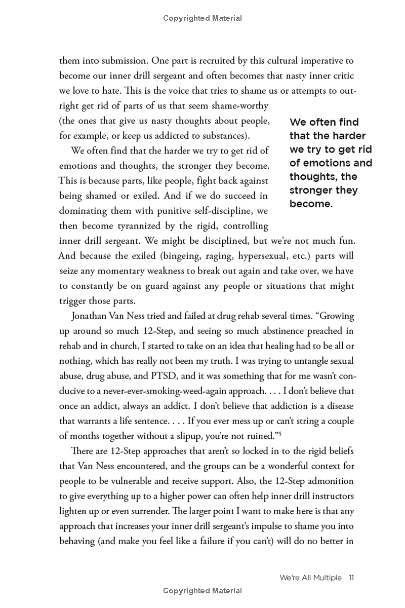 no bad parts: healing trauma and restoring wholeness with the internal family systems model