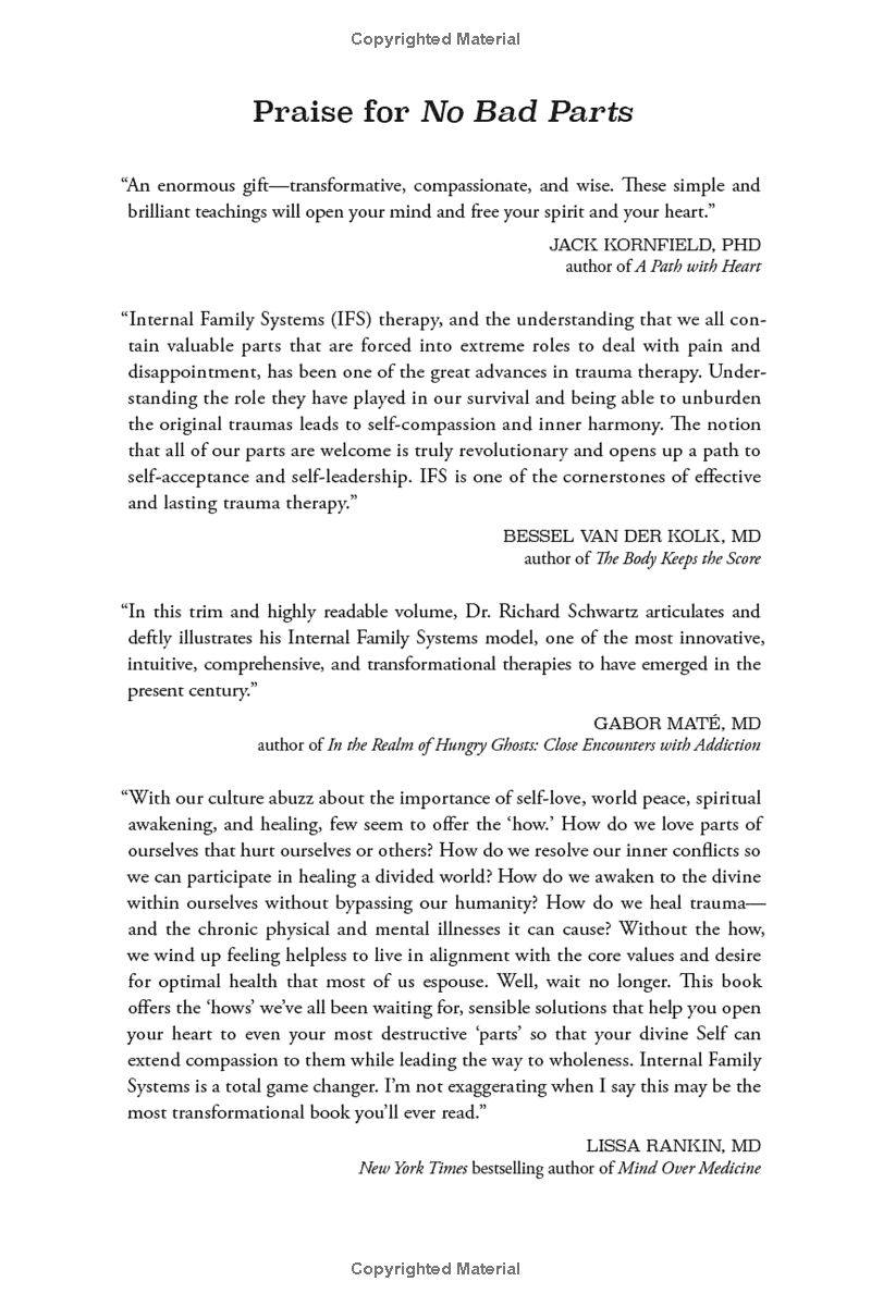 no bad parts: healing trauma and restoring wholeness with the internal family systems model