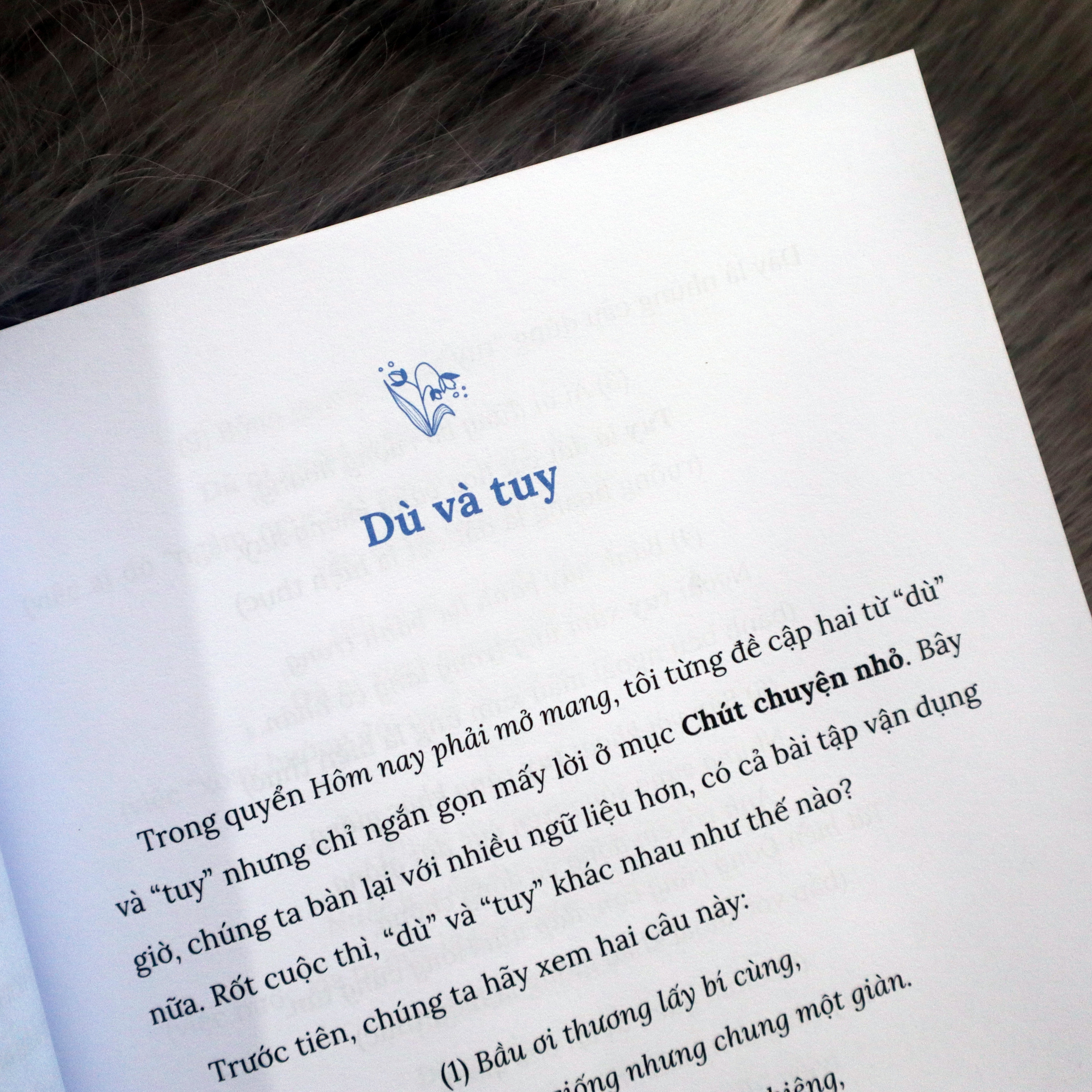 No Luc Tung Chut, Ngoi But No Hoa