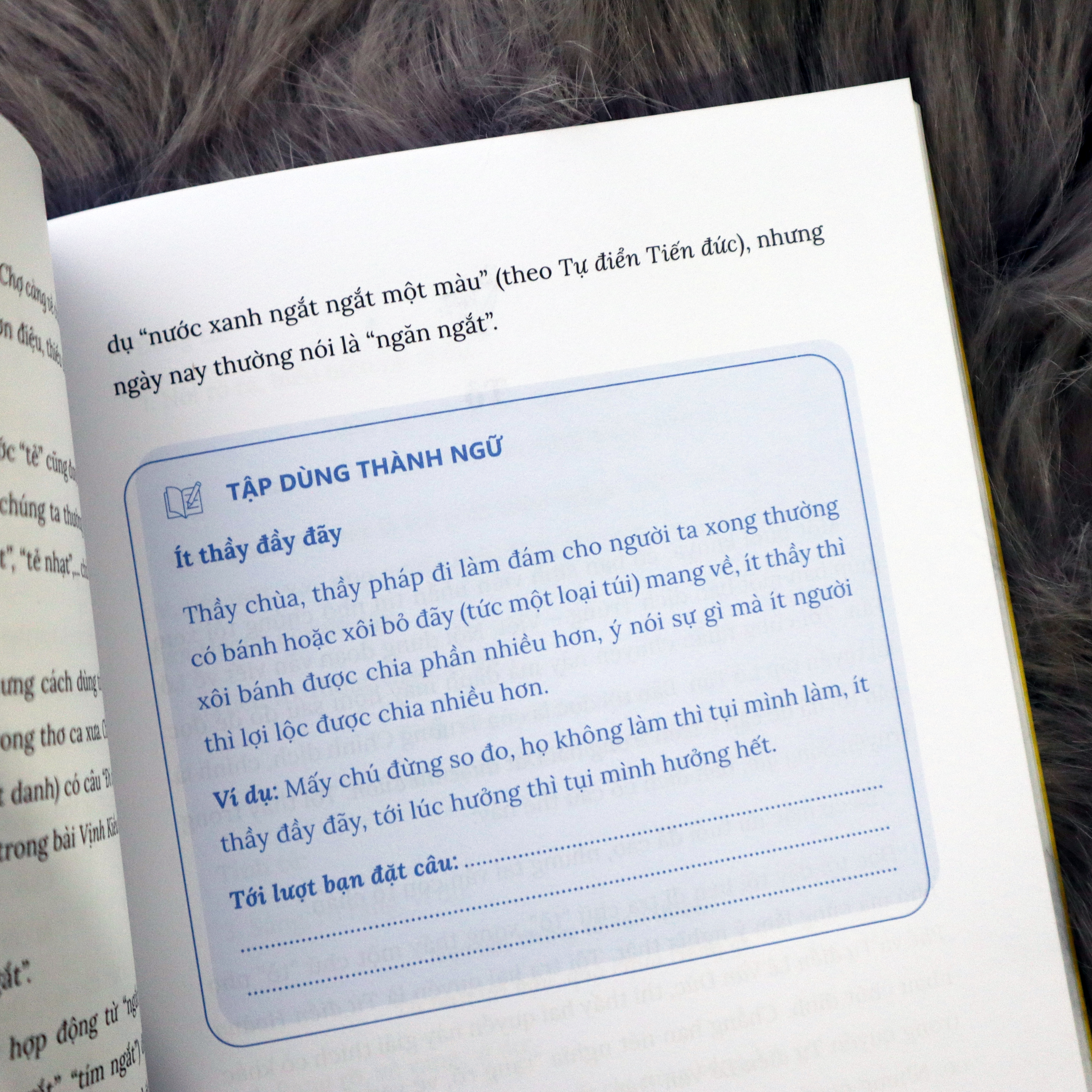 No Luc Tung Chut, Ngoi But No Hoa