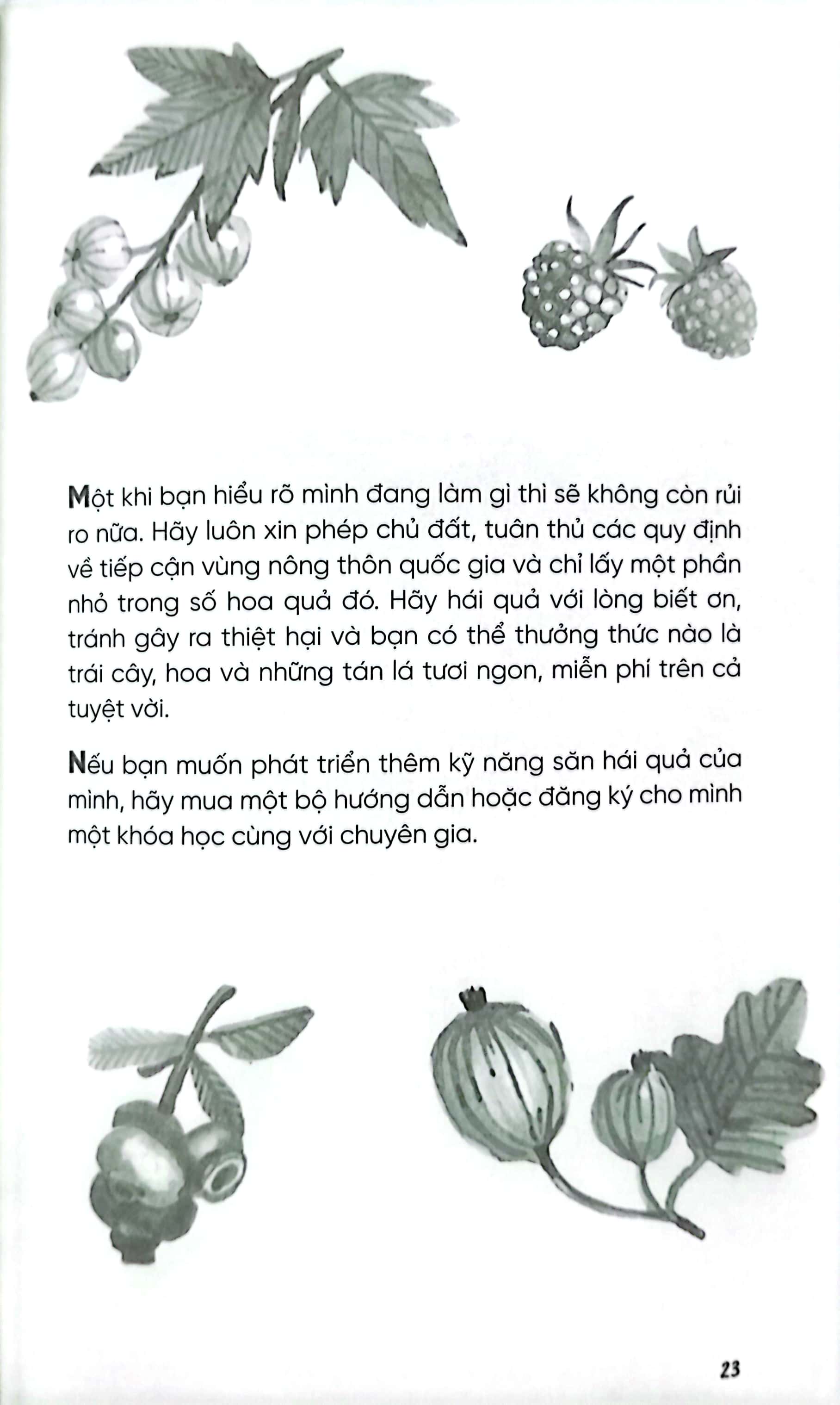 no-spend days - sống "sang" mà không tốn kém (tái bản 2024)