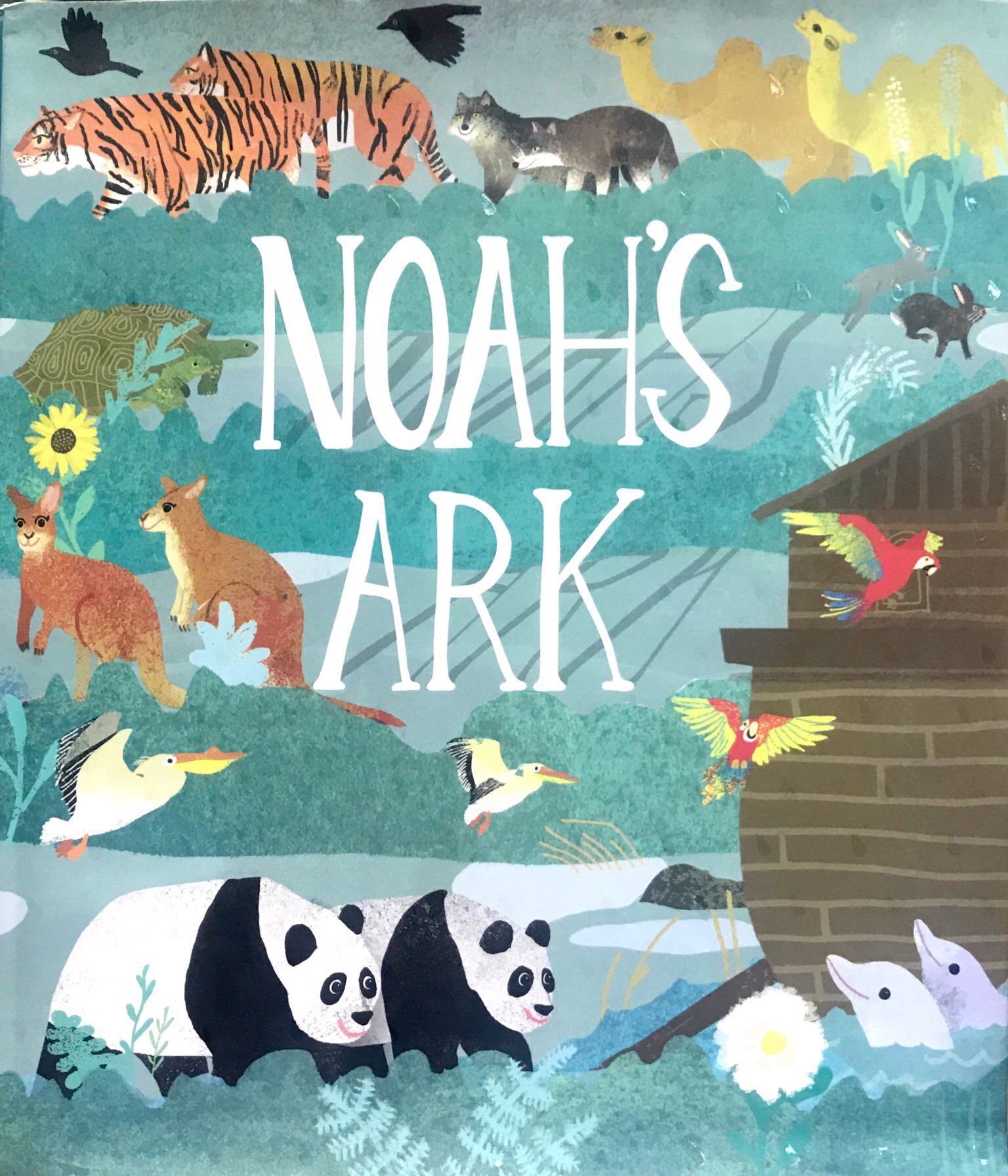 noah's ark